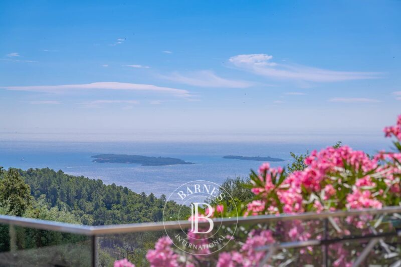 For Sale, Villa Tanneron - picture 2