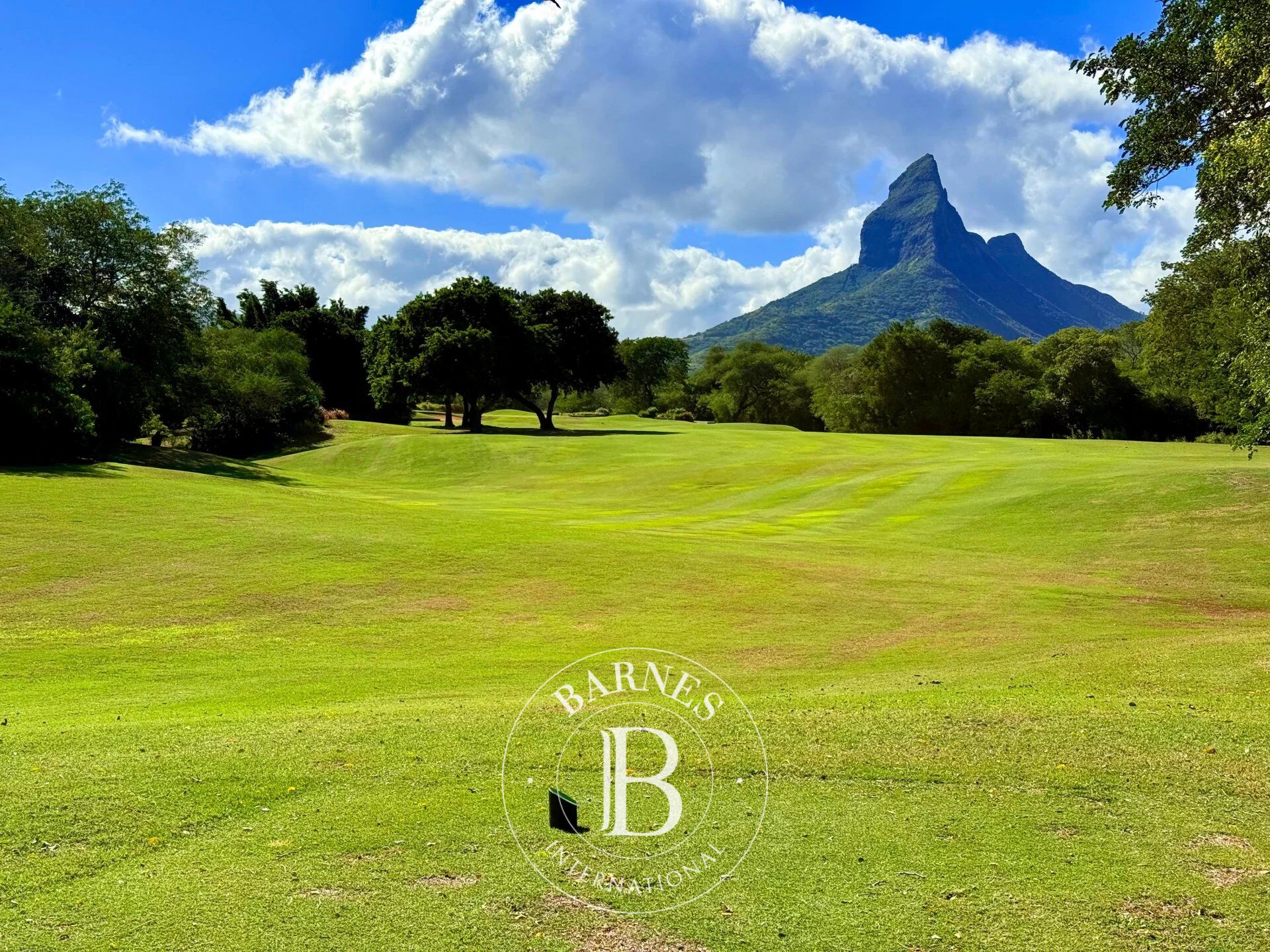 Villa Tamarin - picture 23