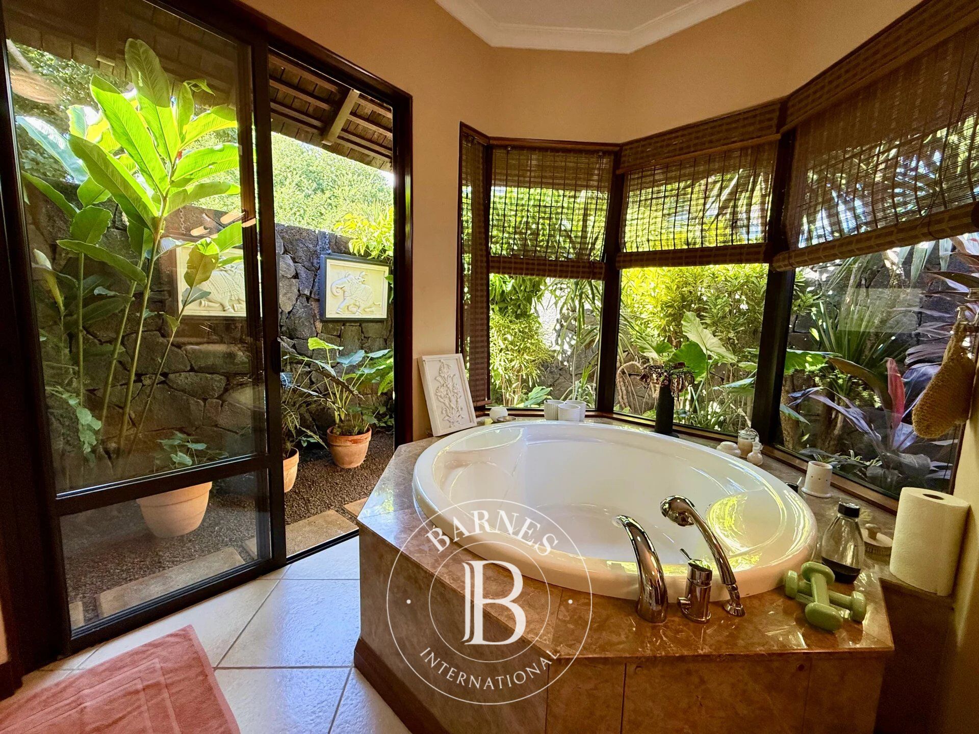 Villa Tamarin - picture 14