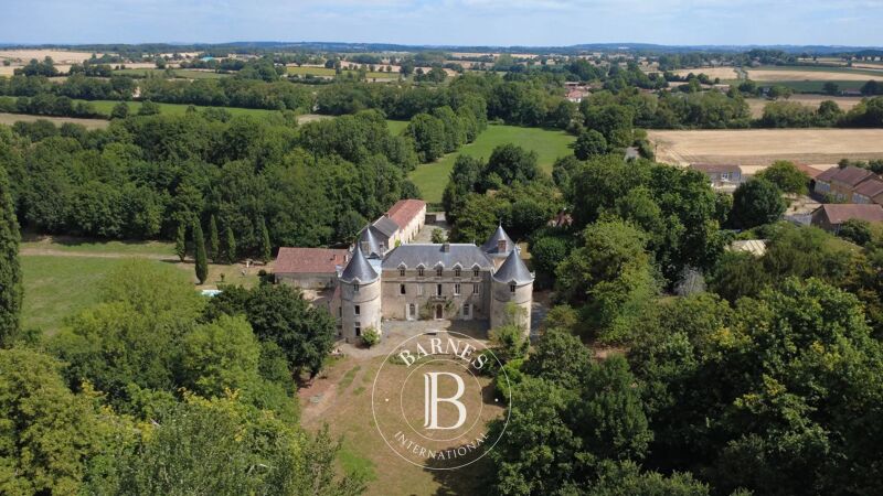 Venta, Castillo Saint-Sulpice-en-Pareds - picture 2