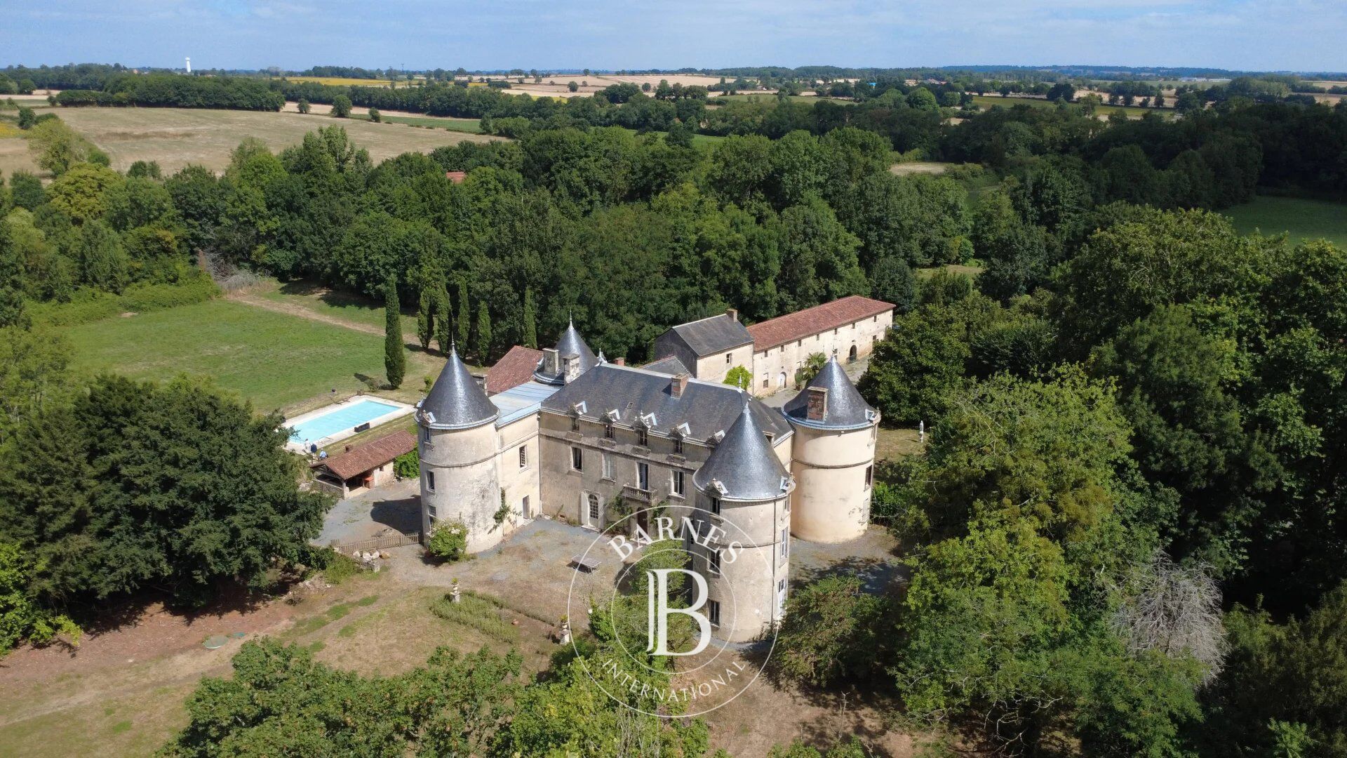 Castillo Saint-Sulpice-en-Pareds - picture 1