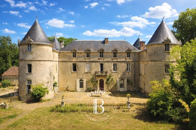 À vendre Château | Saint-Sulpice-en-Pareds - picture 3