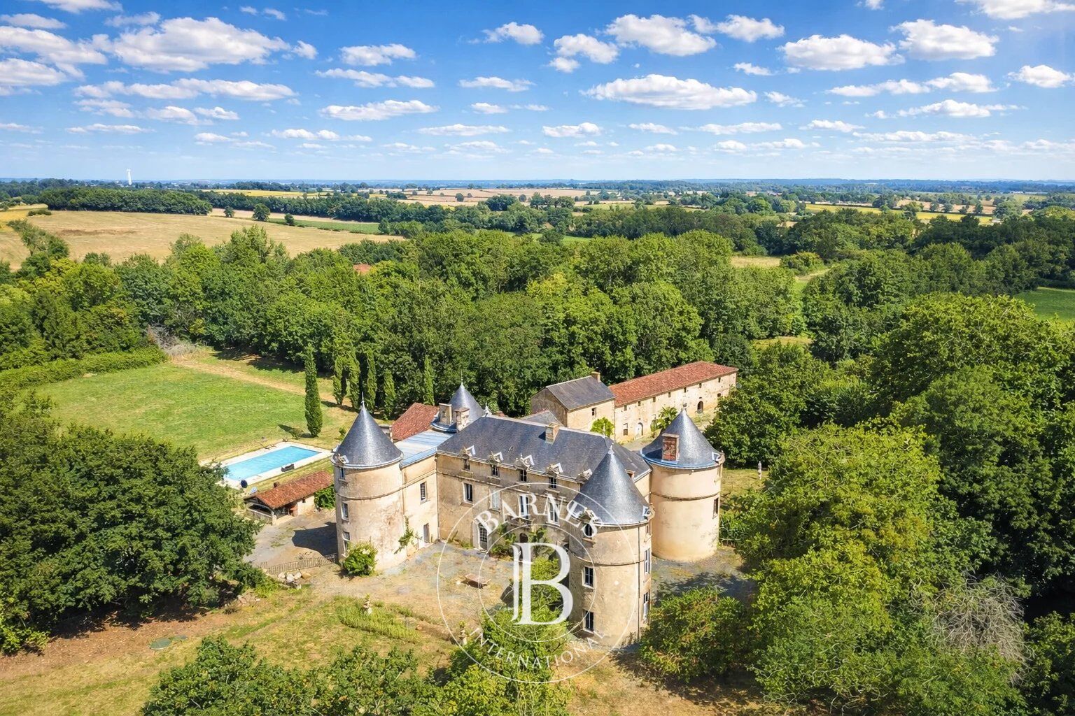 Sud Vendée - Château des XIVe et XVe siècles - Parc de 10 hectares - picture 1
