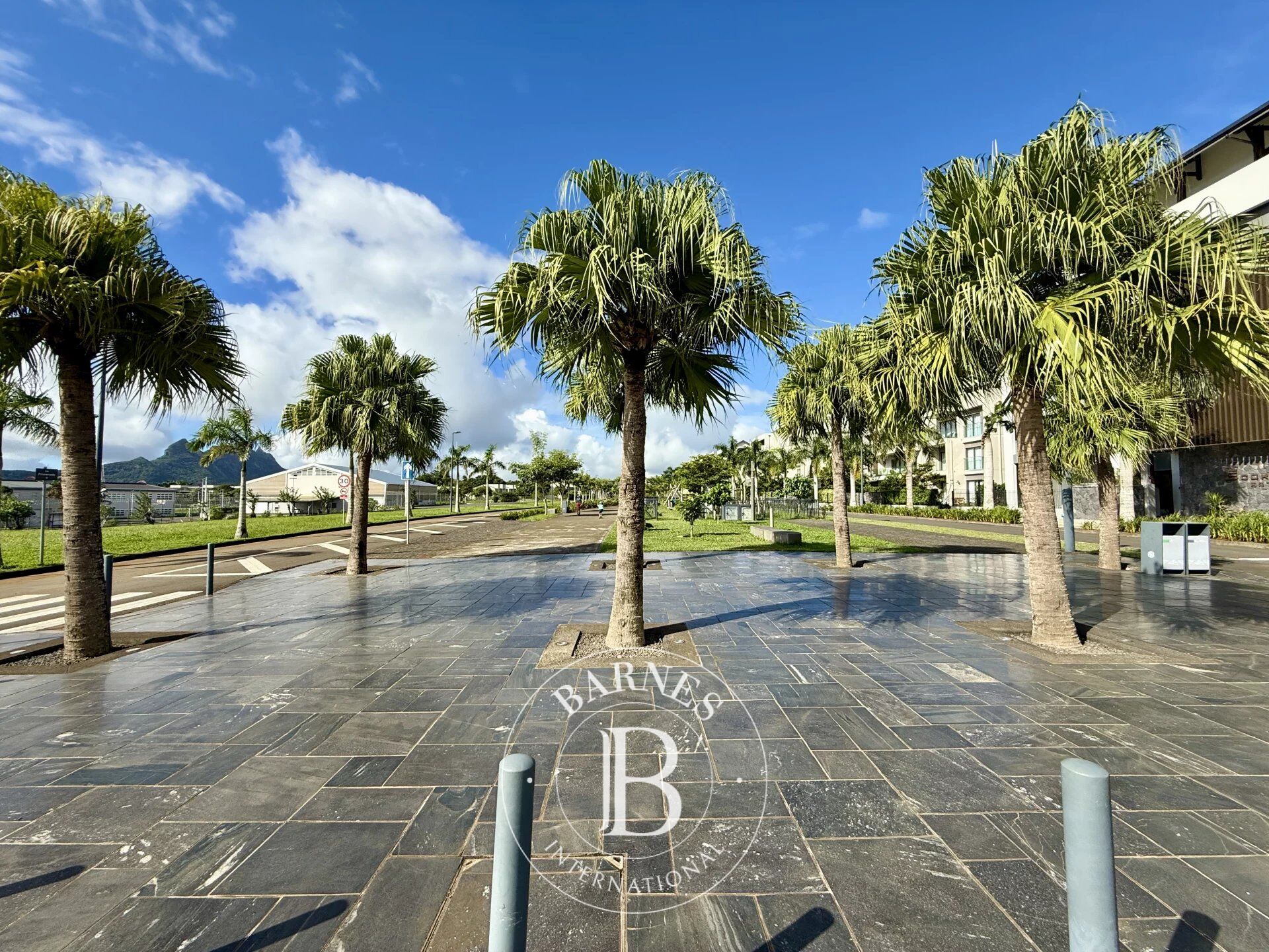 Büro Moka - picture 2