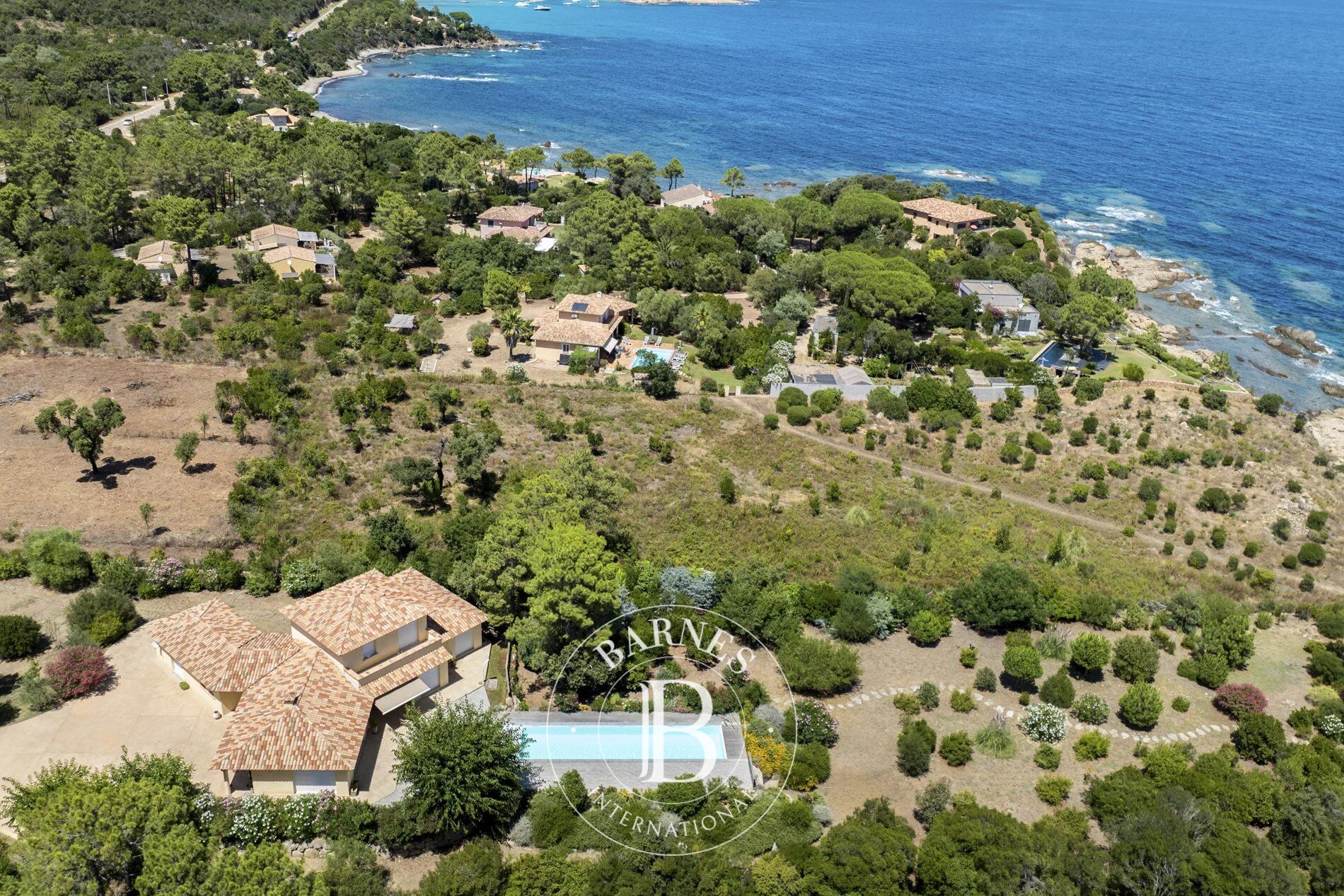 Favone, Villa pied dans l'eau, 5 chambres, piscine, vue mer panoramique, plage à pied - picture 3