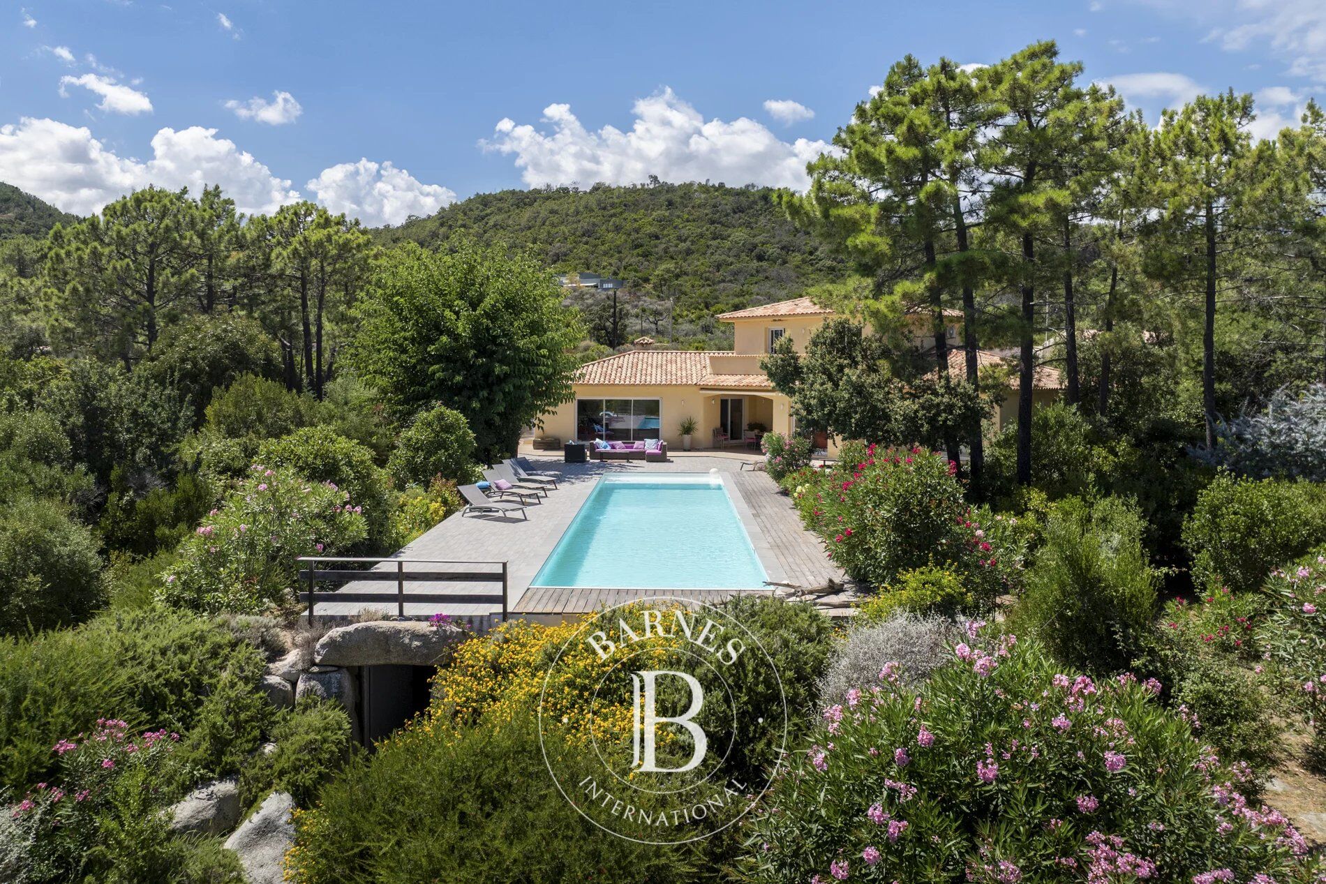 Favone, Villa pied dans l'eau, 5 chambres, piscine, vue mer panoramique, plage à pied - picture 2