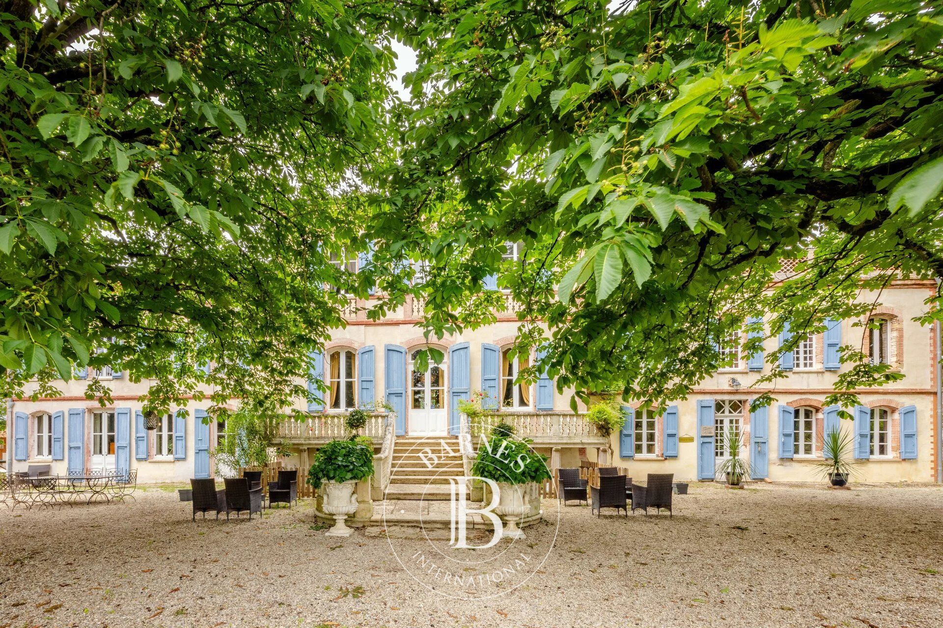 19th-Century Manor of Distinction near Toulouse - picture 3