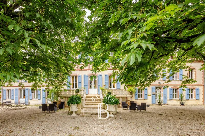 Venta, Castillo Saint-Sulpice-la-Pointe - picture 3