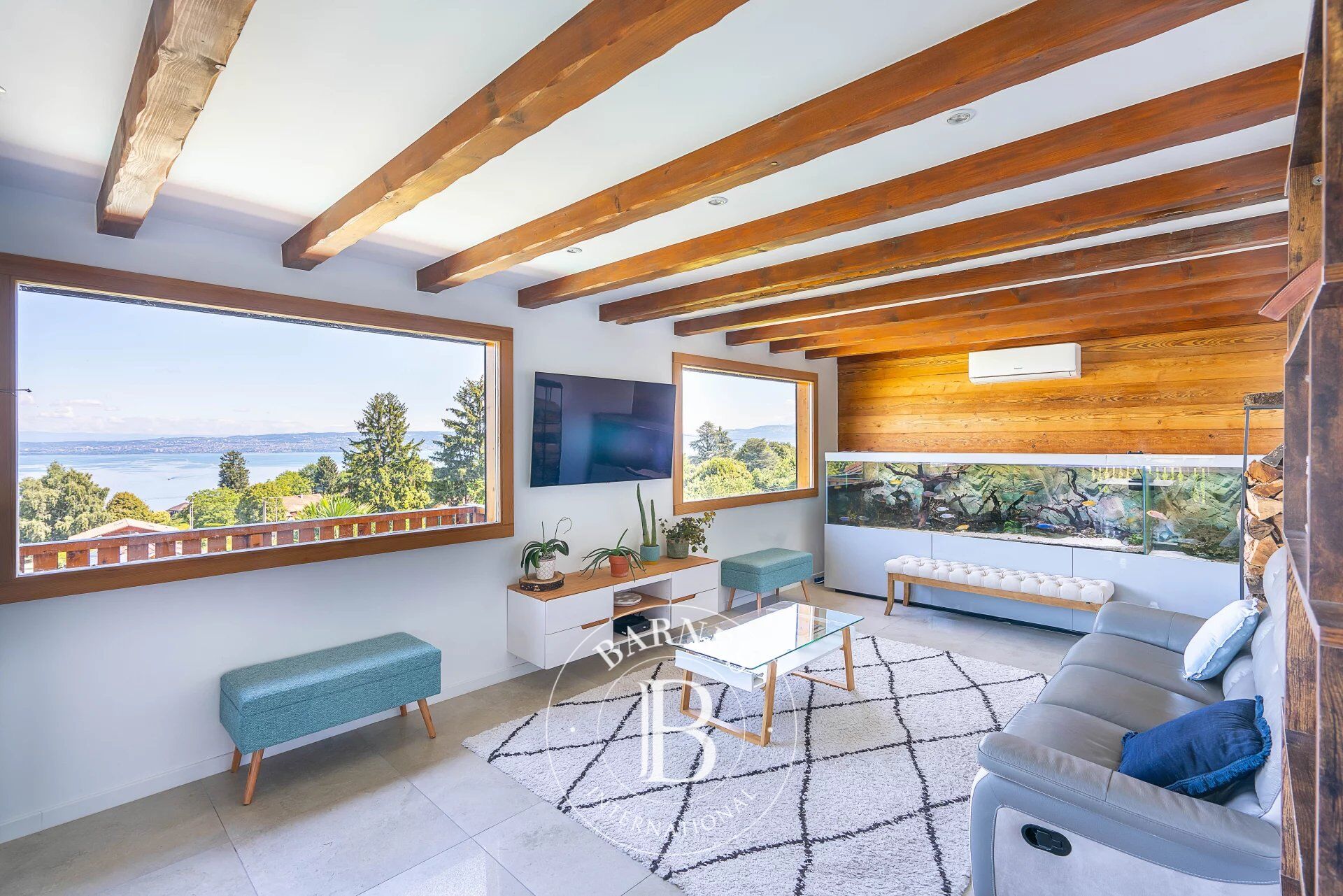 Ev Évian-les-Bains - picture 5