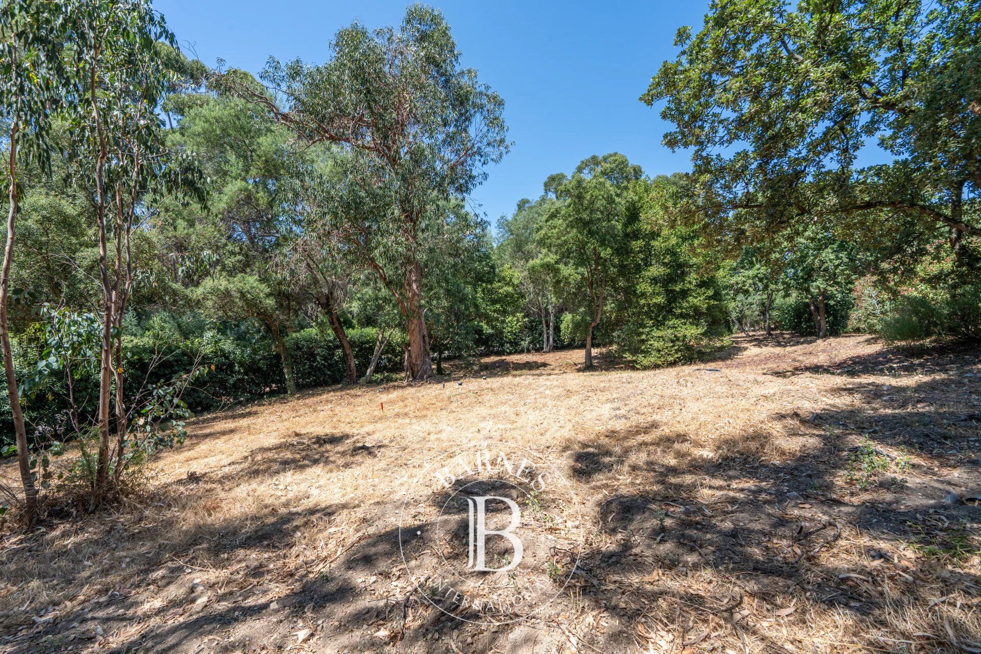 Terreno urbanizable Grimaud - picture 2