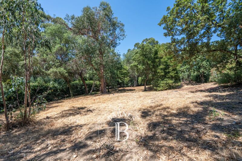 Venta, Terreno urbanizable Grimaud - picture 2