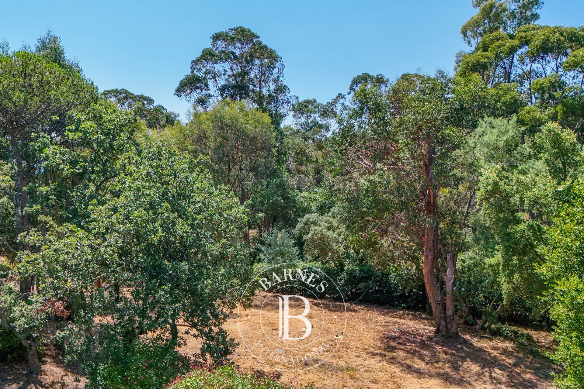 Terreno urbanizable Grimaud - picture 3