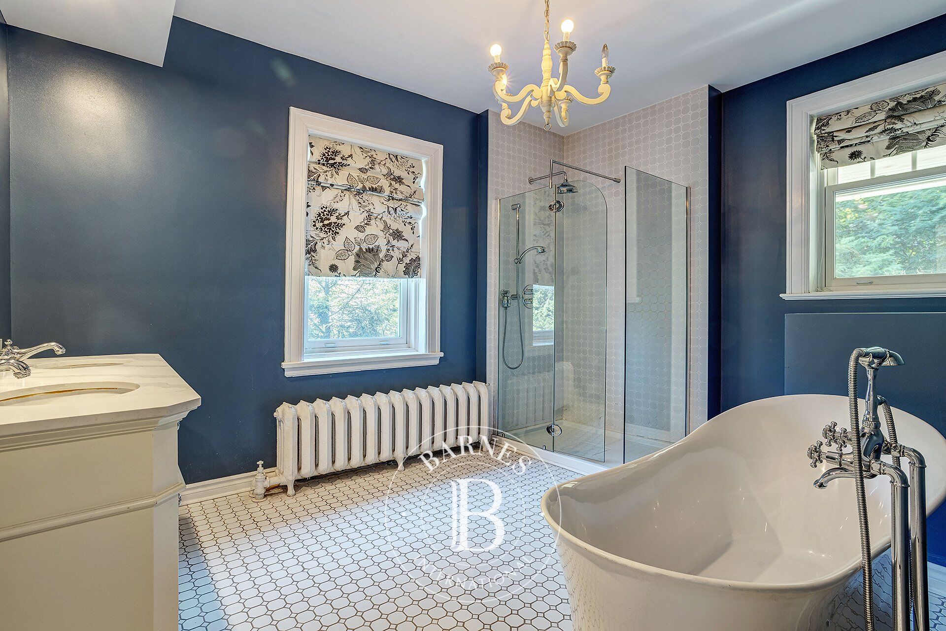 Ev Montréal-Ouest - picture 22