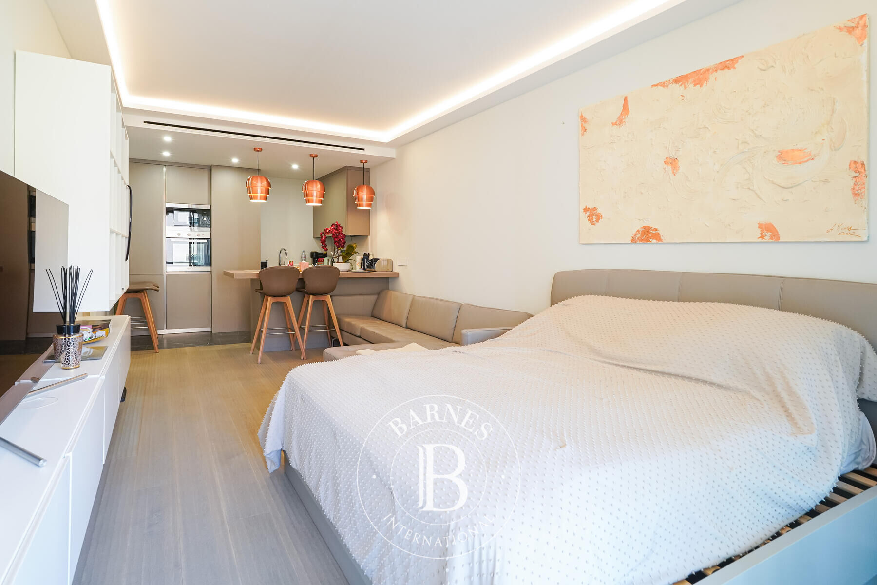 Daire Monaco - picture 8