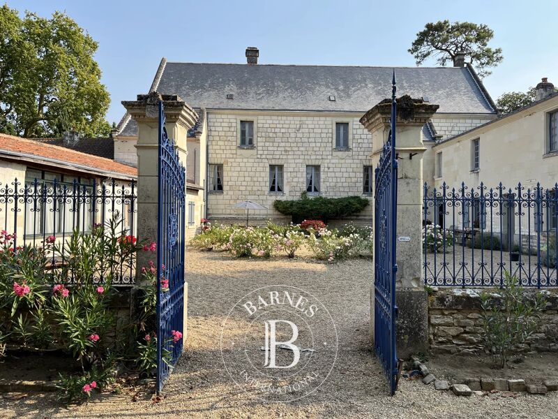 Between Loudun and Chinon - 17th century chateau - 3,5 hectares of land with swimming pool