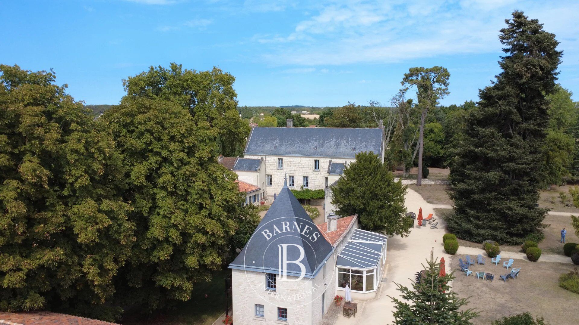 Between Loudun and Chinon - 17th century chateau - 3,5 hectares of land with swimming pool - picture 3