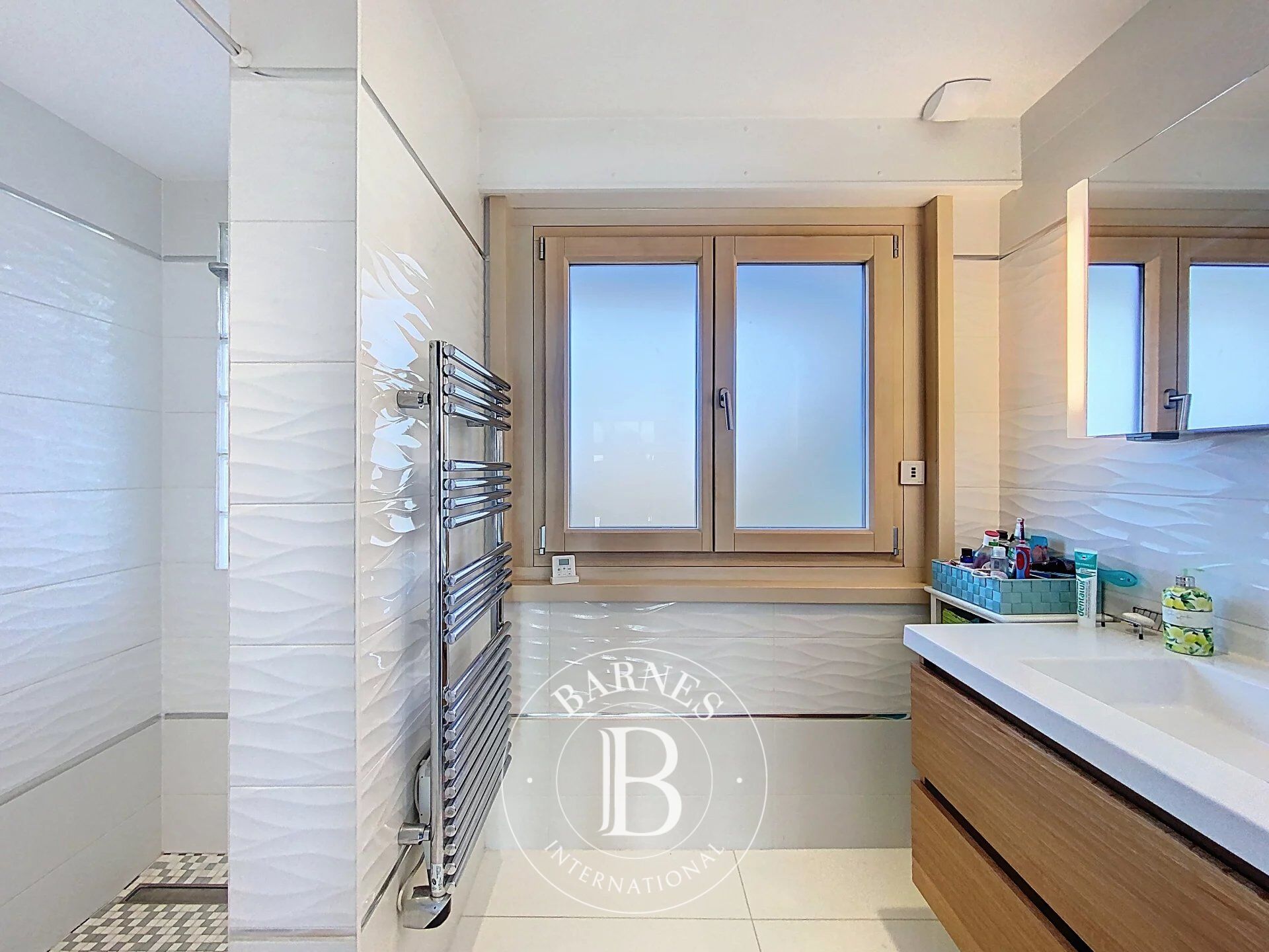 Ev Thonon-les-Bains - picture 17