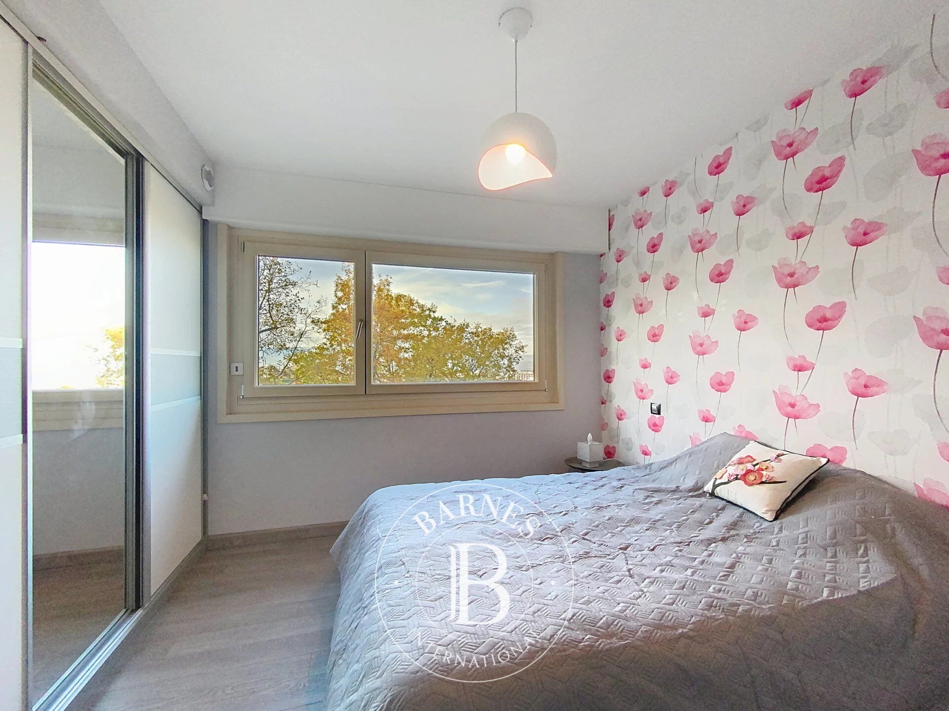 Ev Thonon-les-Bains - picture 16