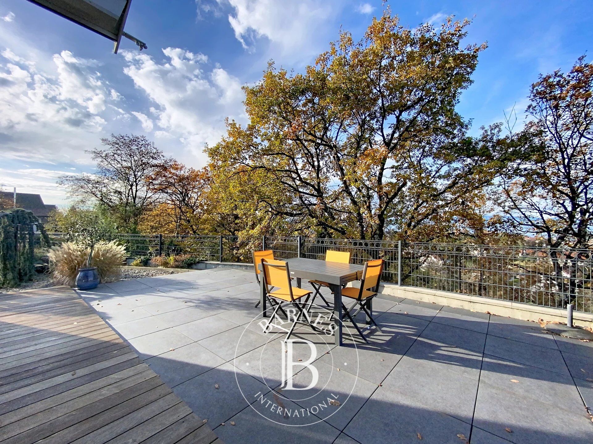 Ev Thonon-les-Bains - picture 11