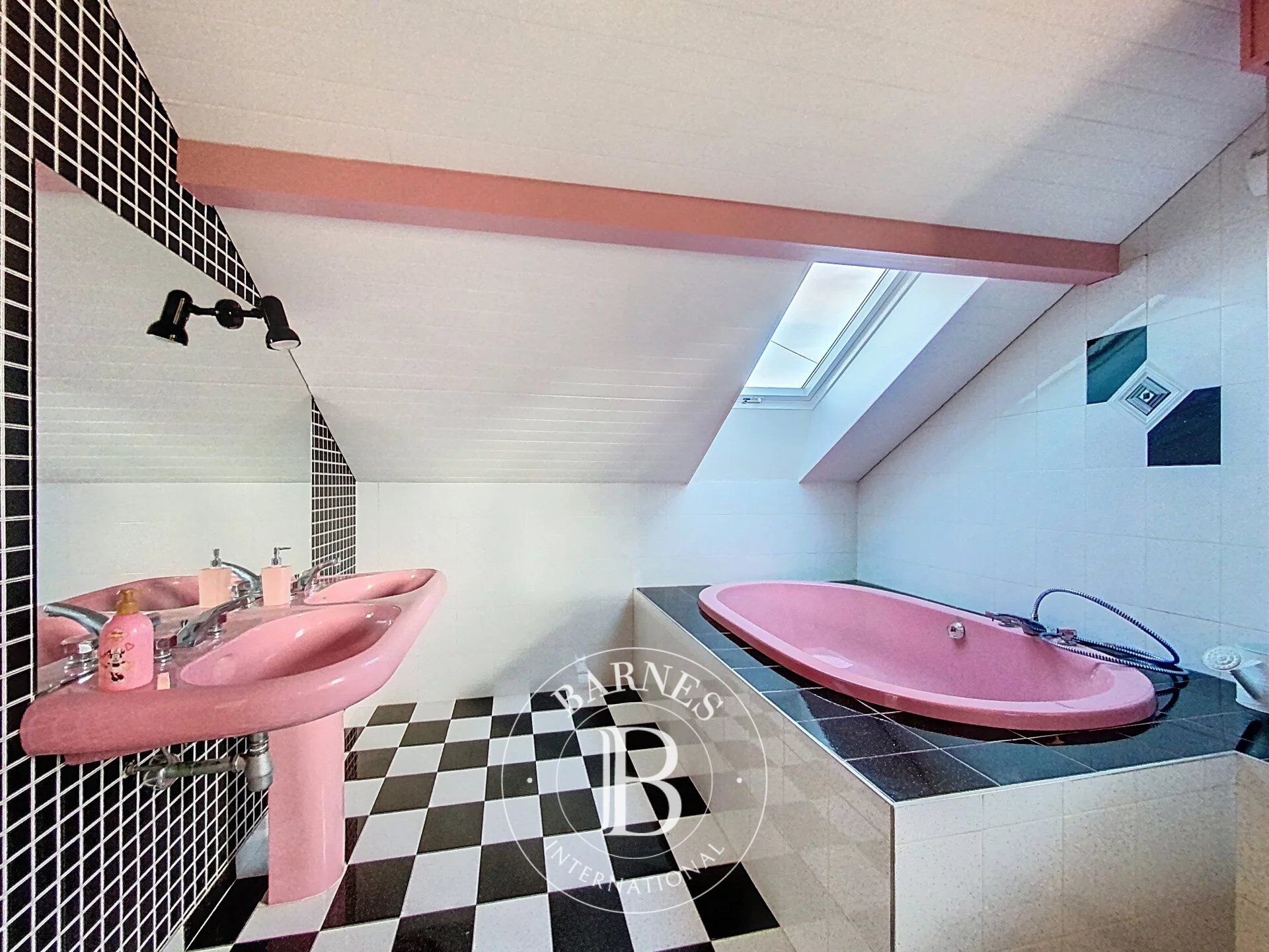 Ev Thonon-les-Bains - picture 10