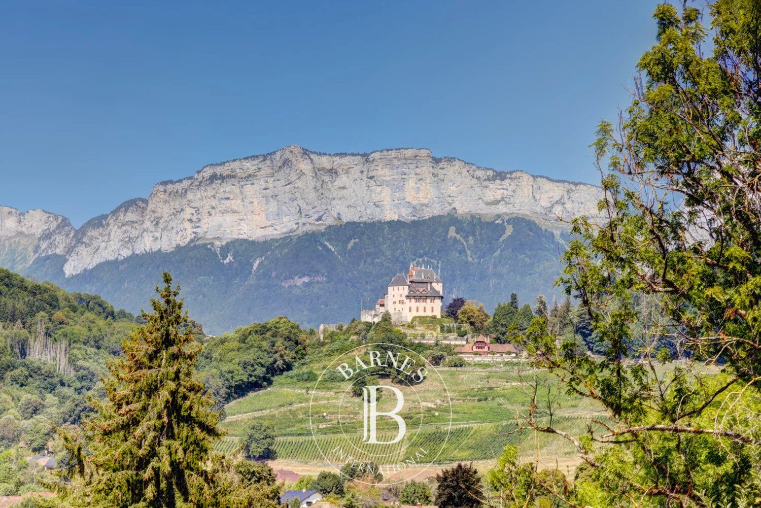 BARNES ANNECY - MENTHON ST BERNARD -   LAKE AND MOUNTAINS VIEWS - picture 2