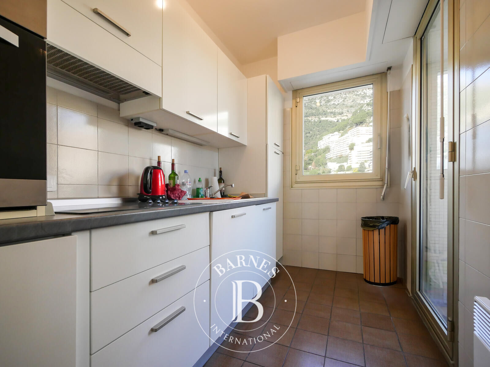 Daire Monaco - picture 6