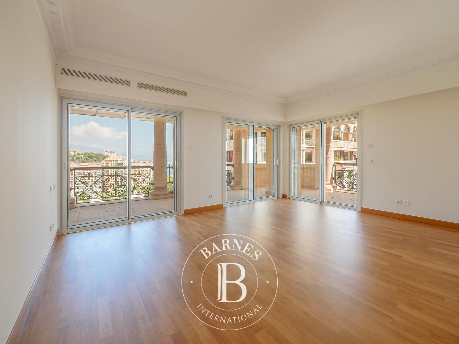 Daire Monaco - picture 10