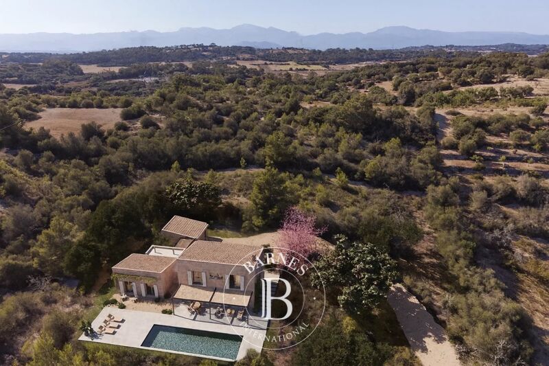 Vendita Lotti | Sineu - picture 3