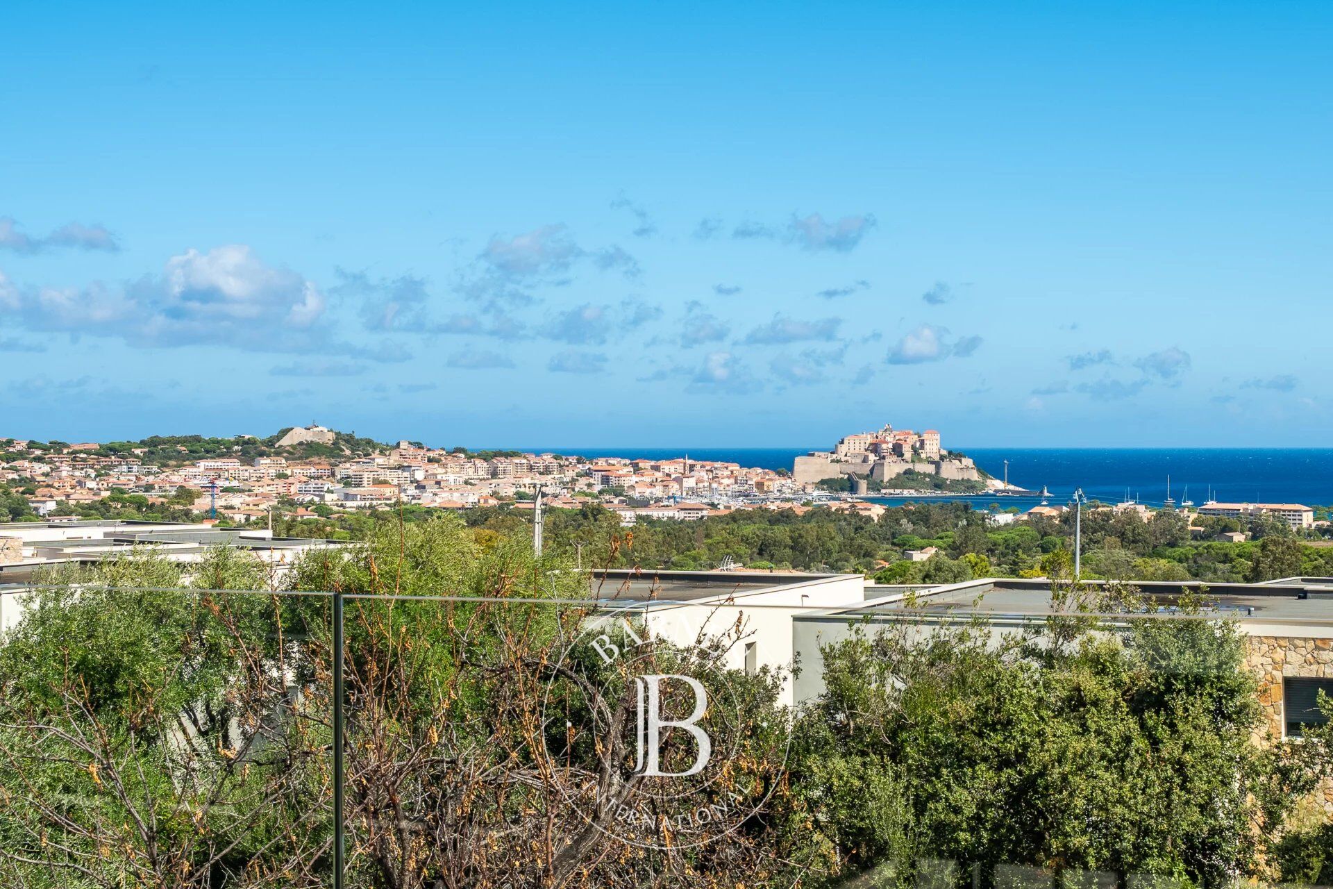 Calvi, 6 Bedrooms, Swimmingpool, Panoramic sea-view, Close to the beach - picture 1