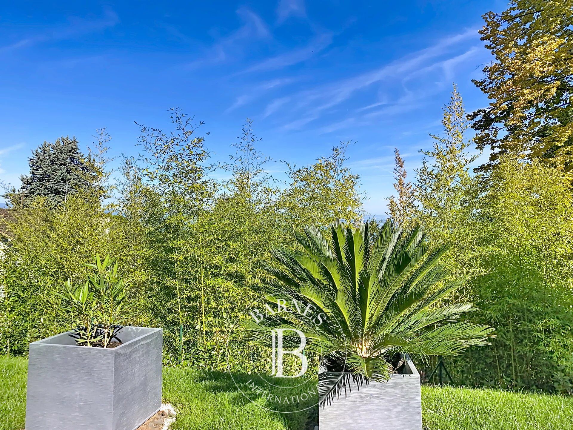 Daire Évian-les-Bains - picture 5