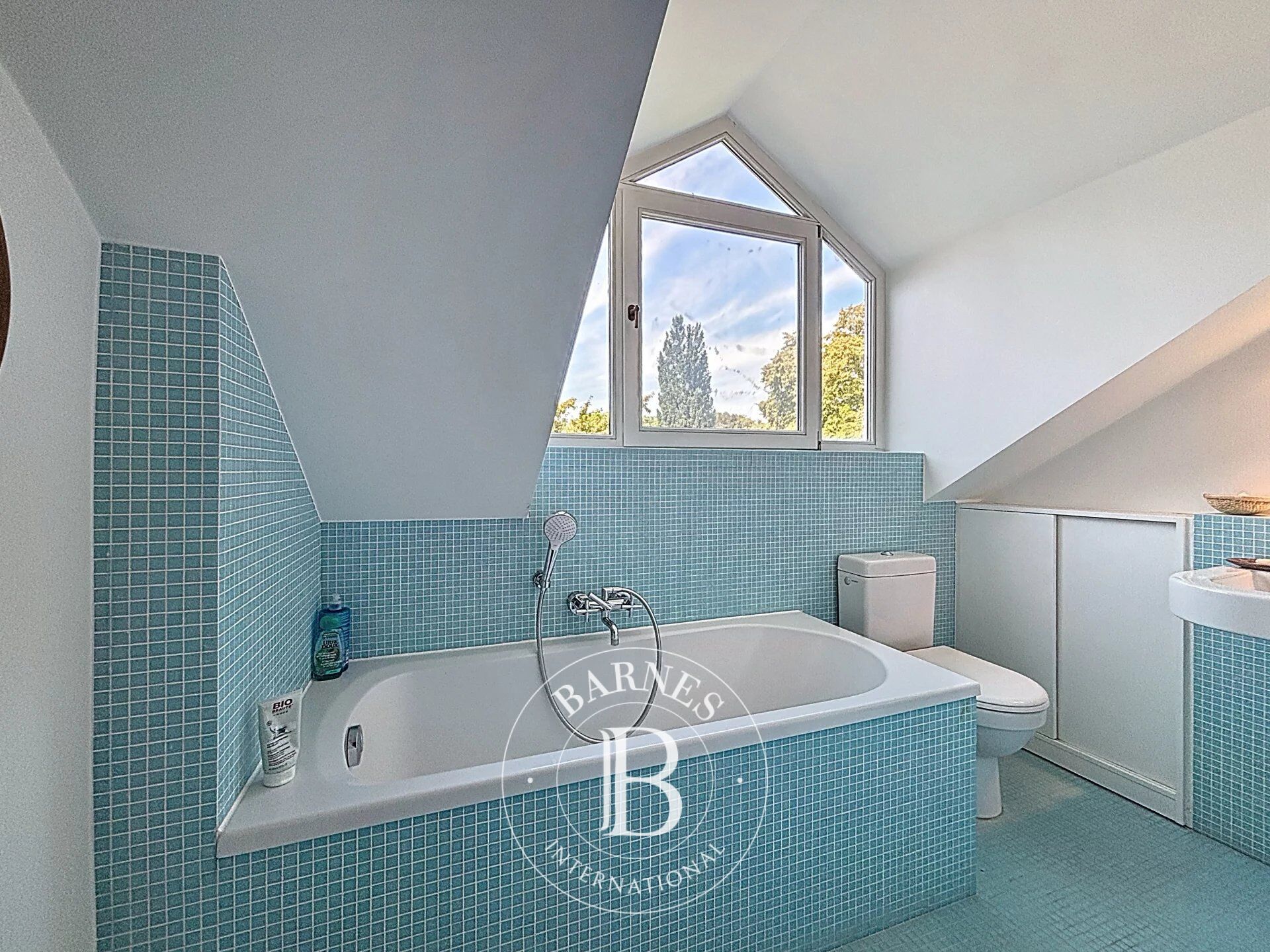 Ev Uccle - picture 21