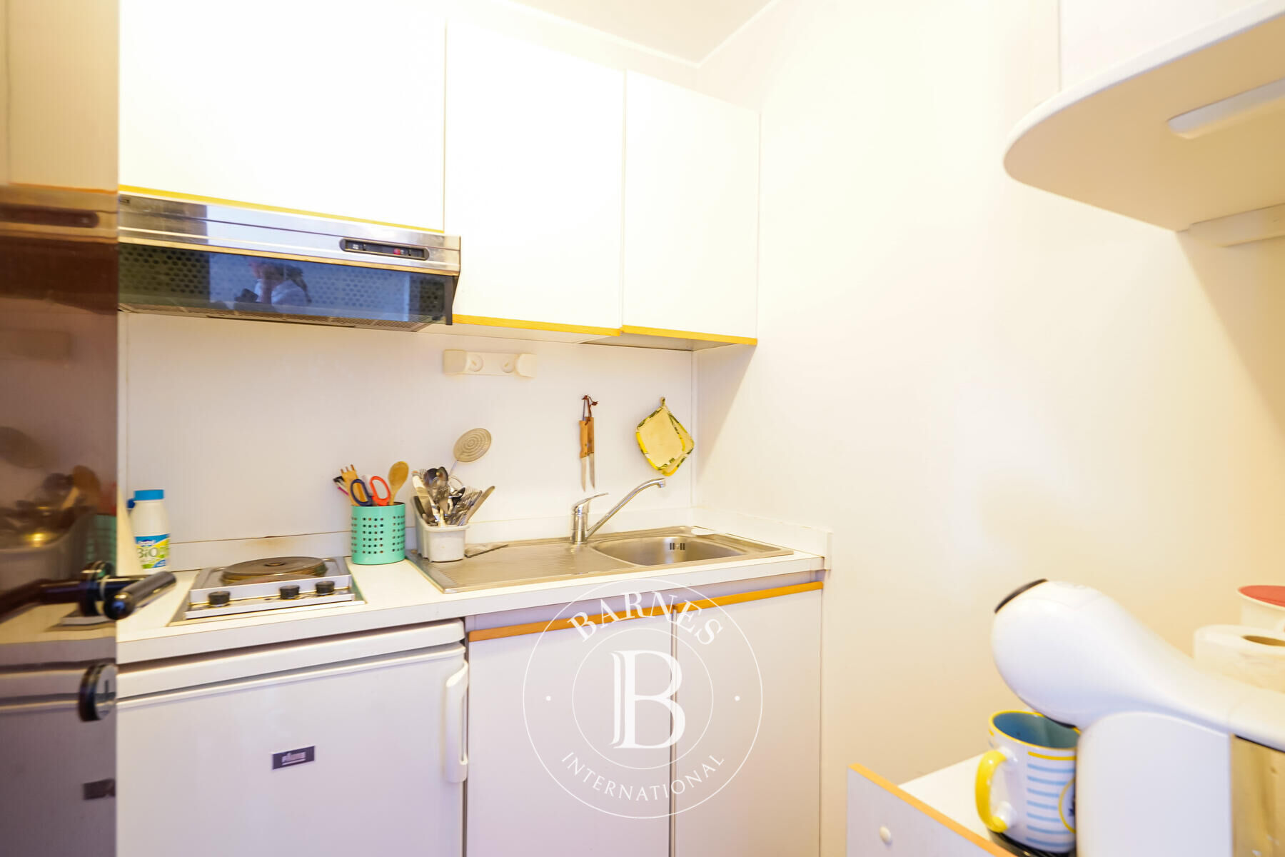 Daire Monaco - picture 5