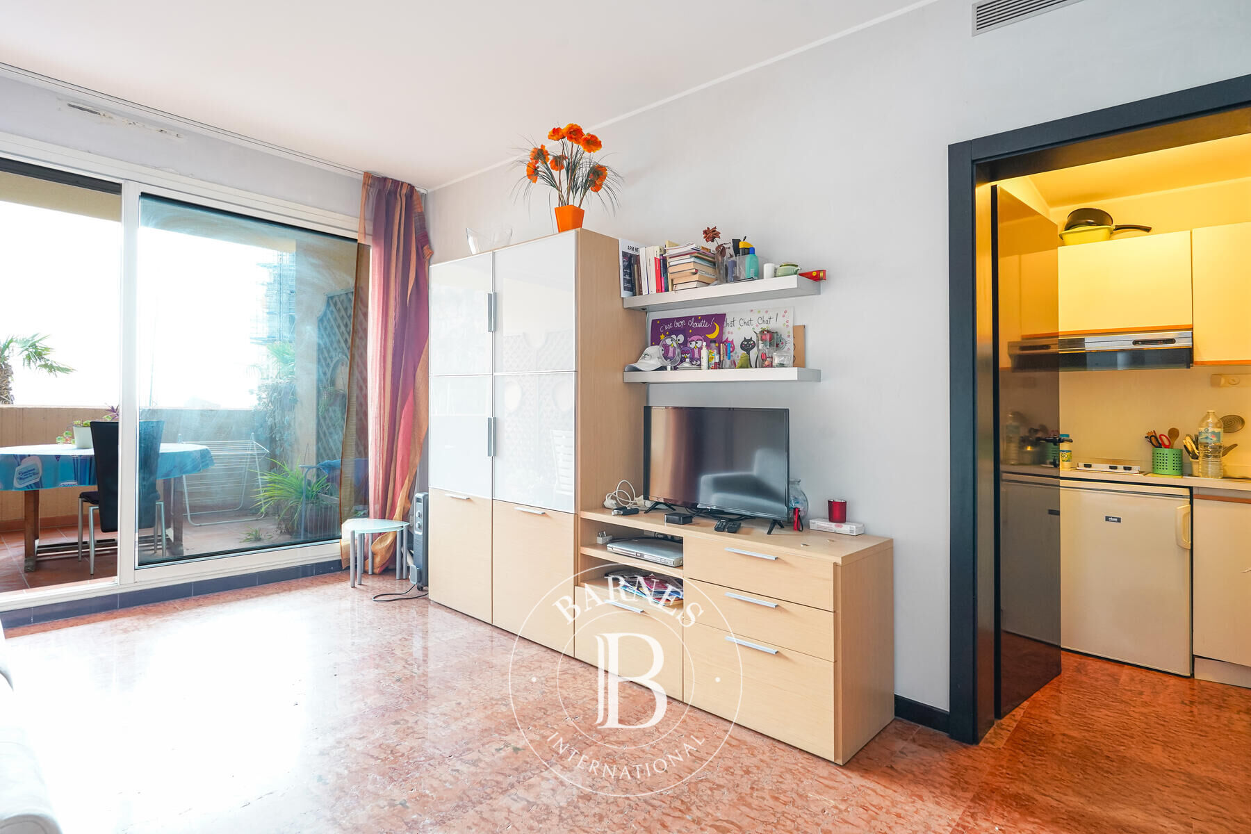 Daire Monaco - picture 4