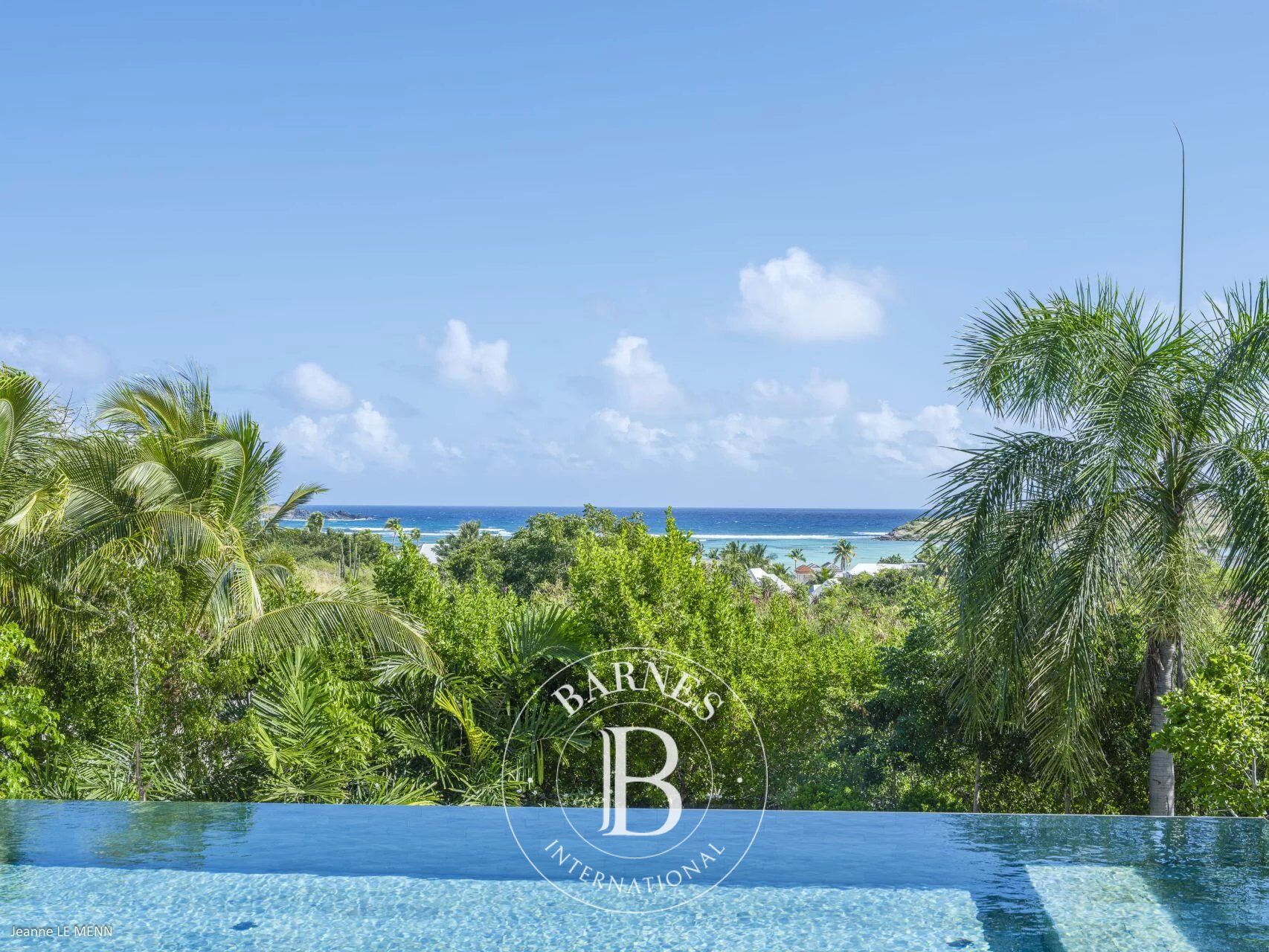 Villa Saint-Barthélemy - picture 1