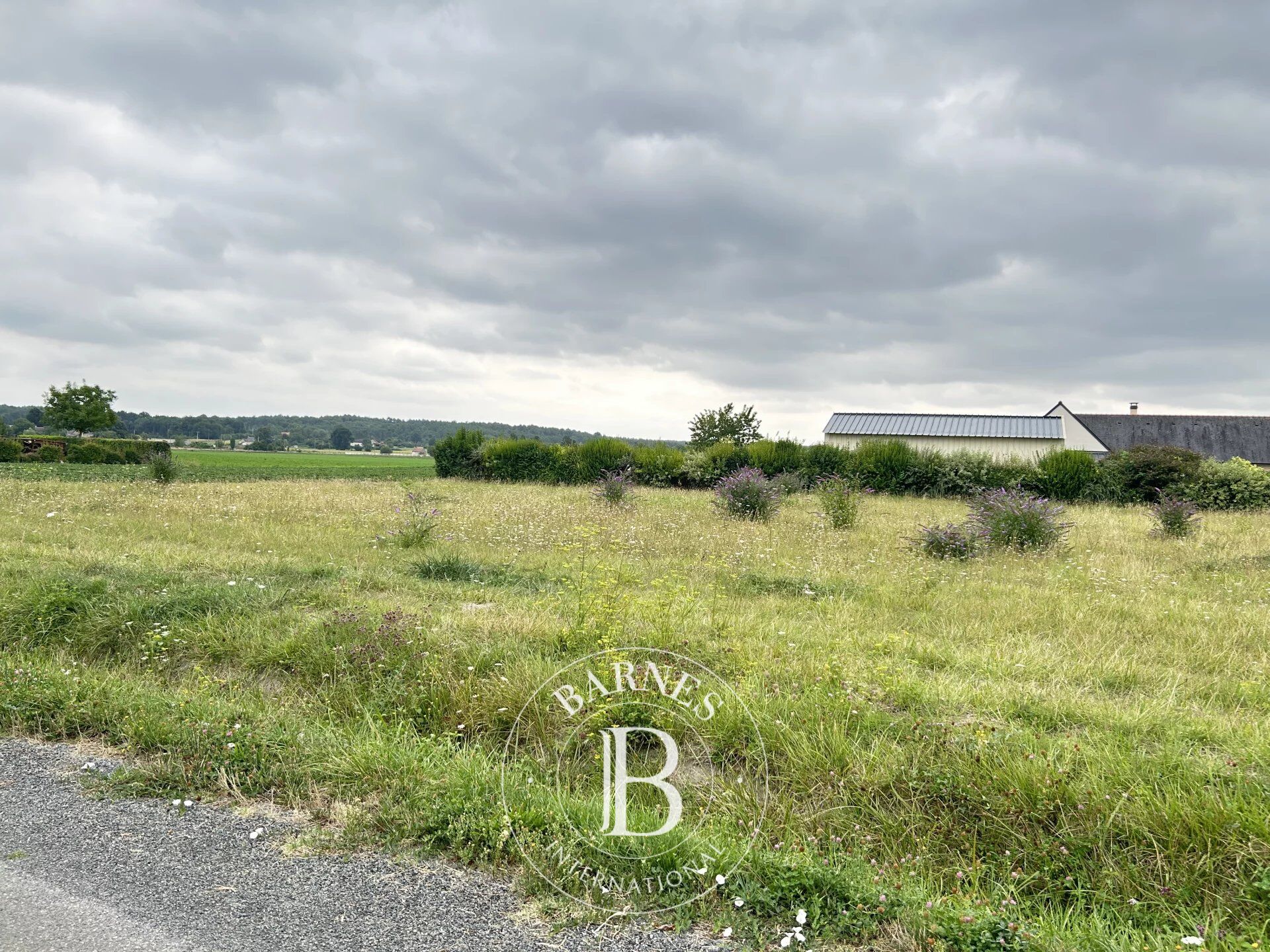 VERNANTES - Terrain constructible de 2522 m² - picture 2