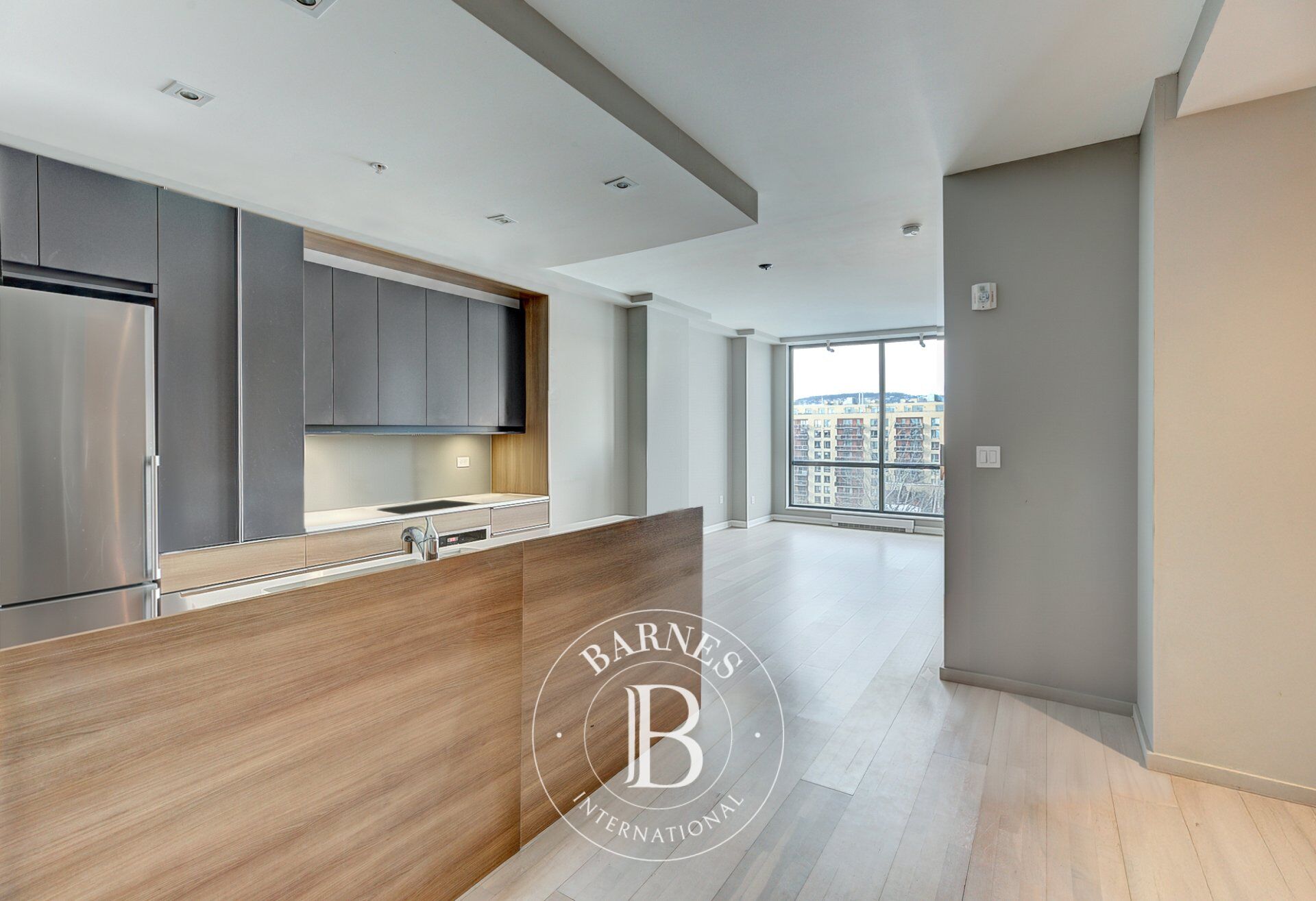 Daire Montréal (Le Sud-Ouest)