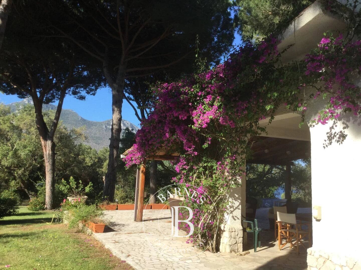 VILLA FOR SALE IN SABAUDIA - picture 3