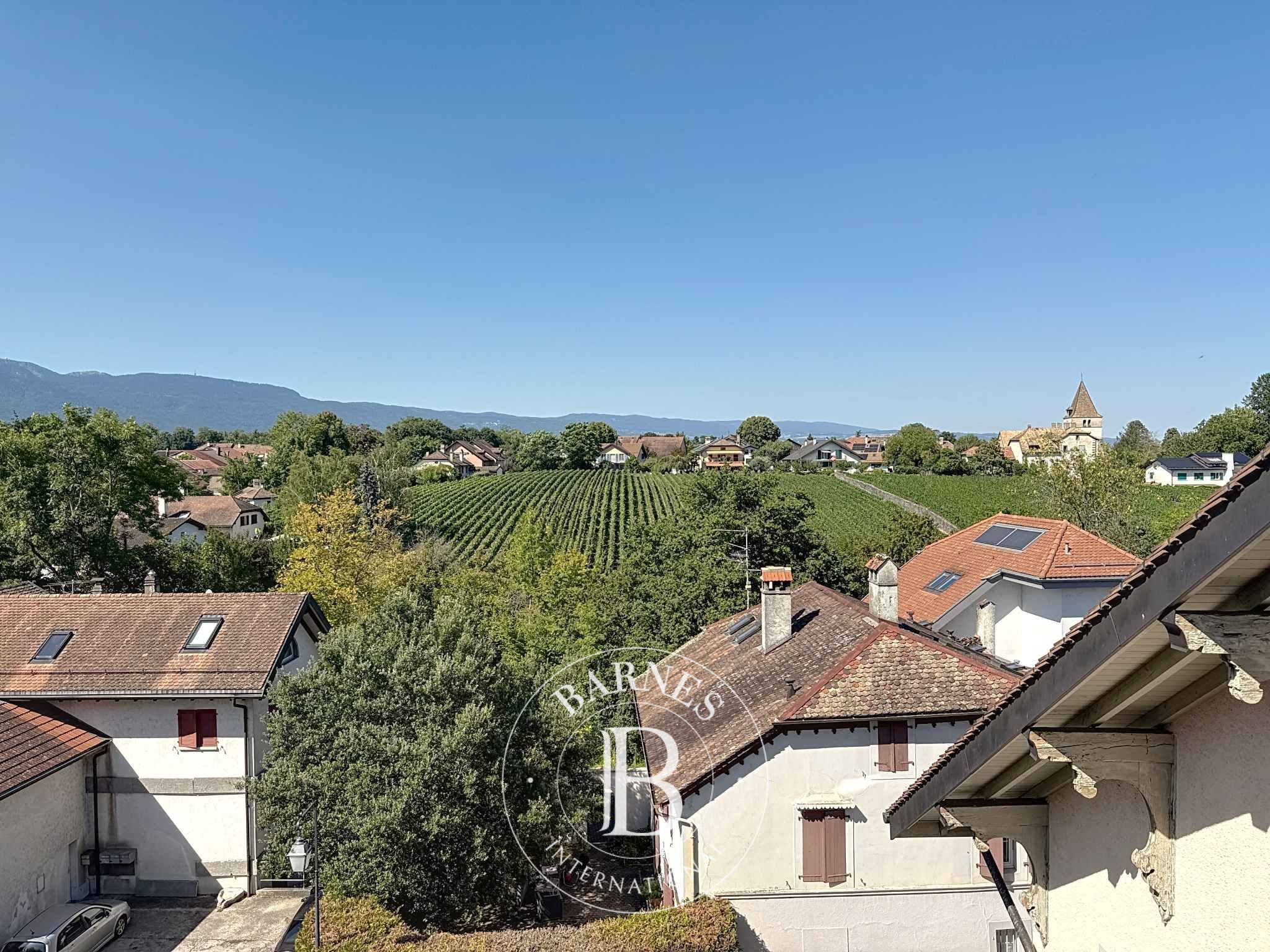 Cati kati Commugny - picture 5