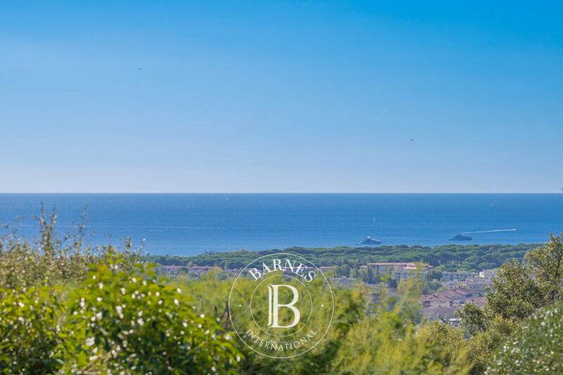 For Sale, Villa Mandelieu-la-Napoule - picture 3