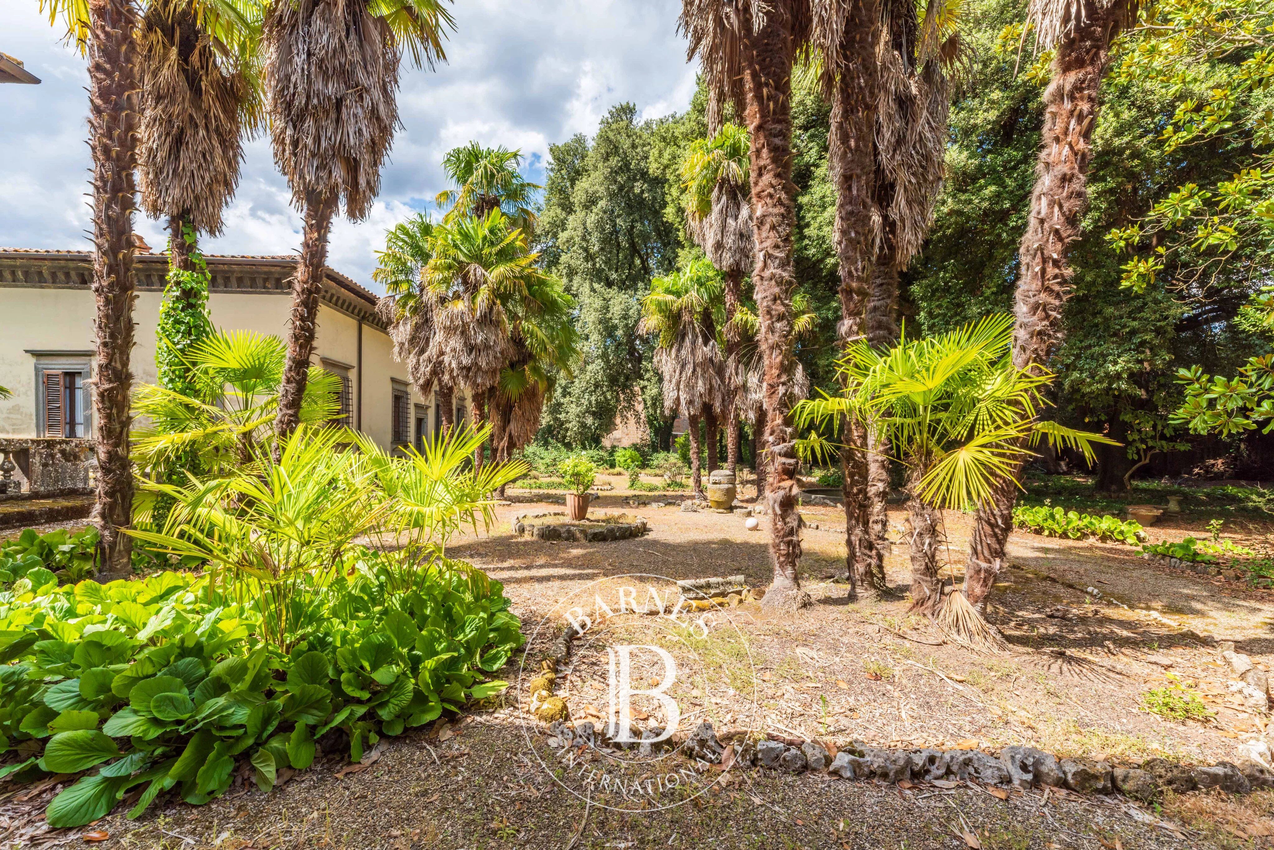 Bina Acquapendente - picture 10