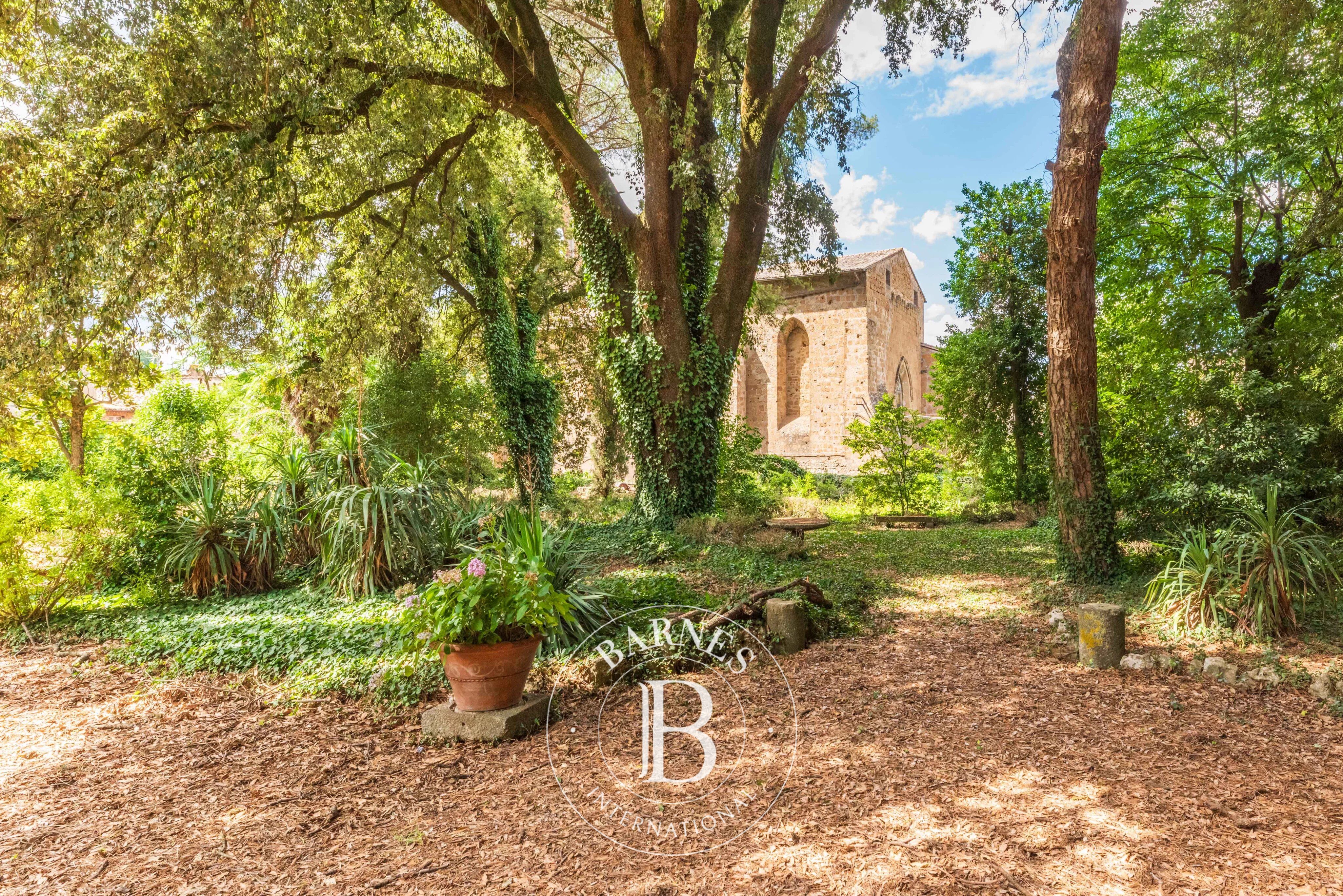 Bina Acquapendente - picture 13