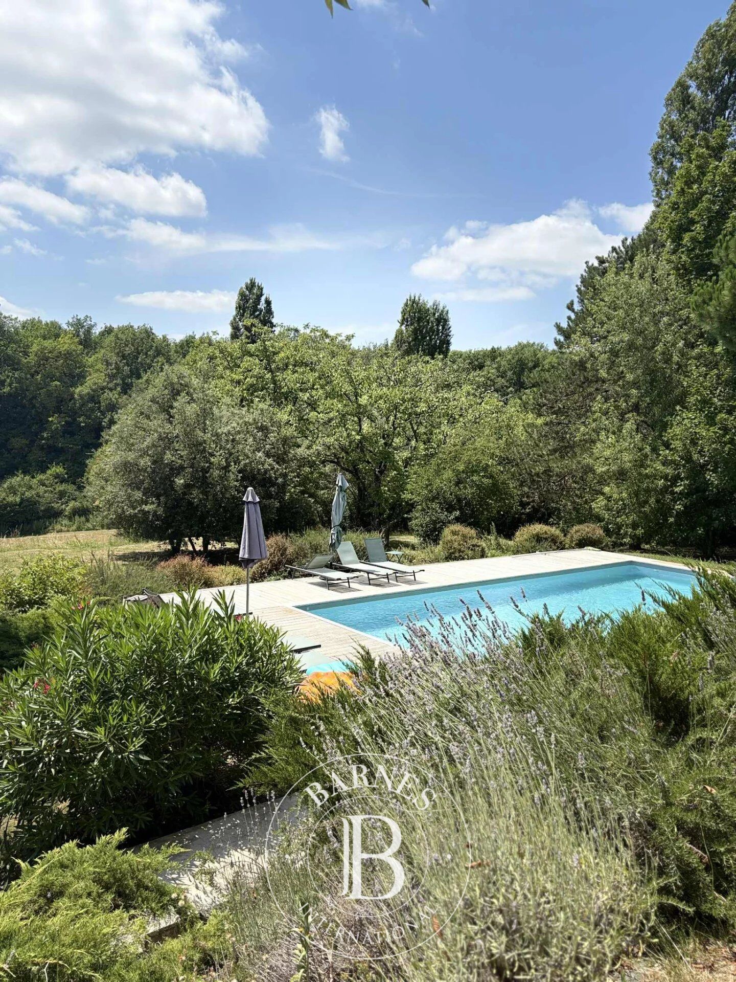 Domaine en pleine nature - Ancienne propriété viticole de 5,8 hectares - picture 3