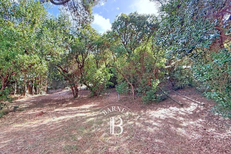 Venta, Villa Lège-Cap-Ferret - picture 2