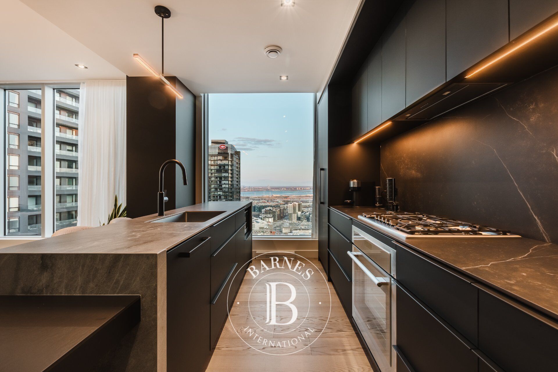 Daire Montréal (Ville-Marie)