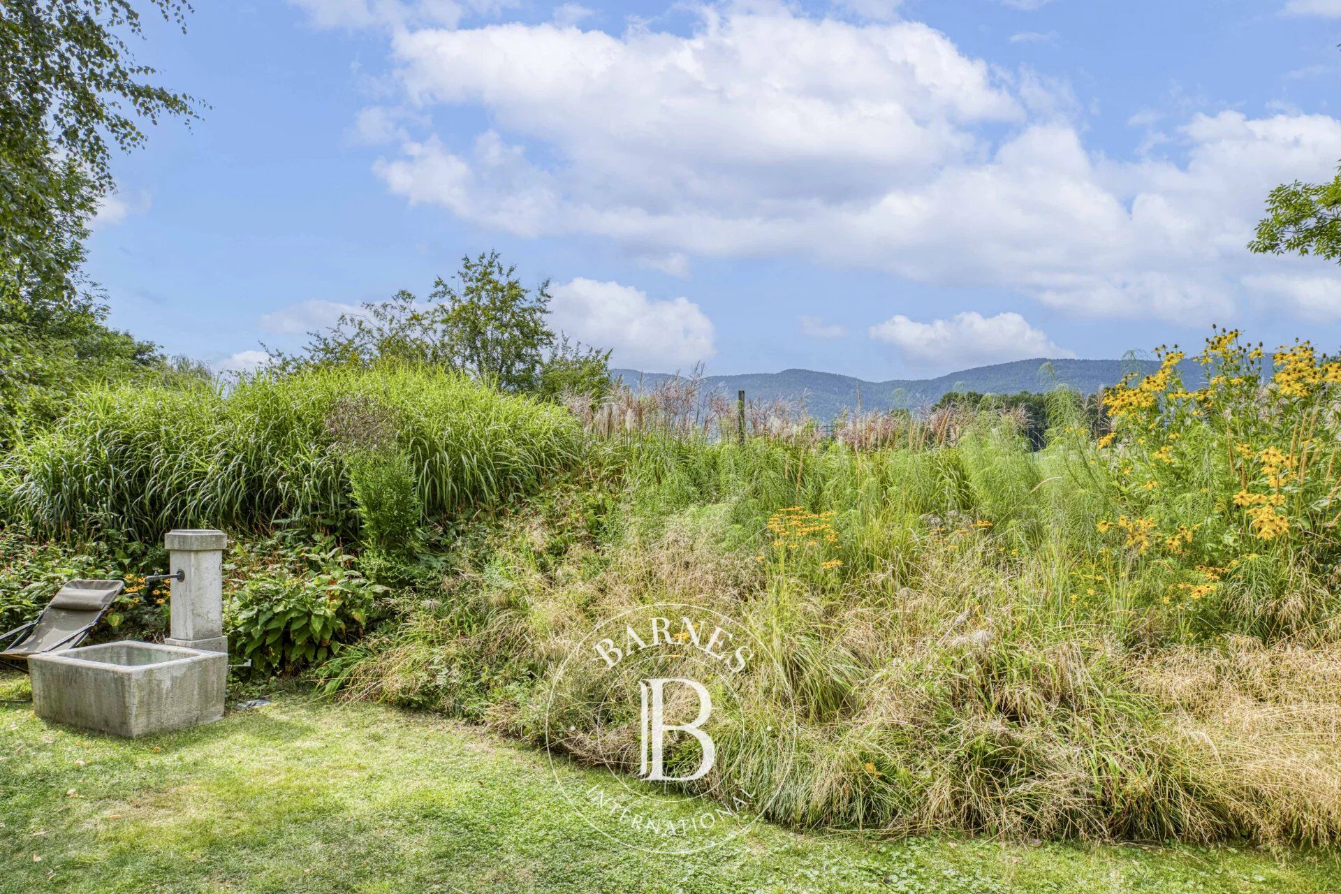 Villa Divonne-les-Bains - picture 33