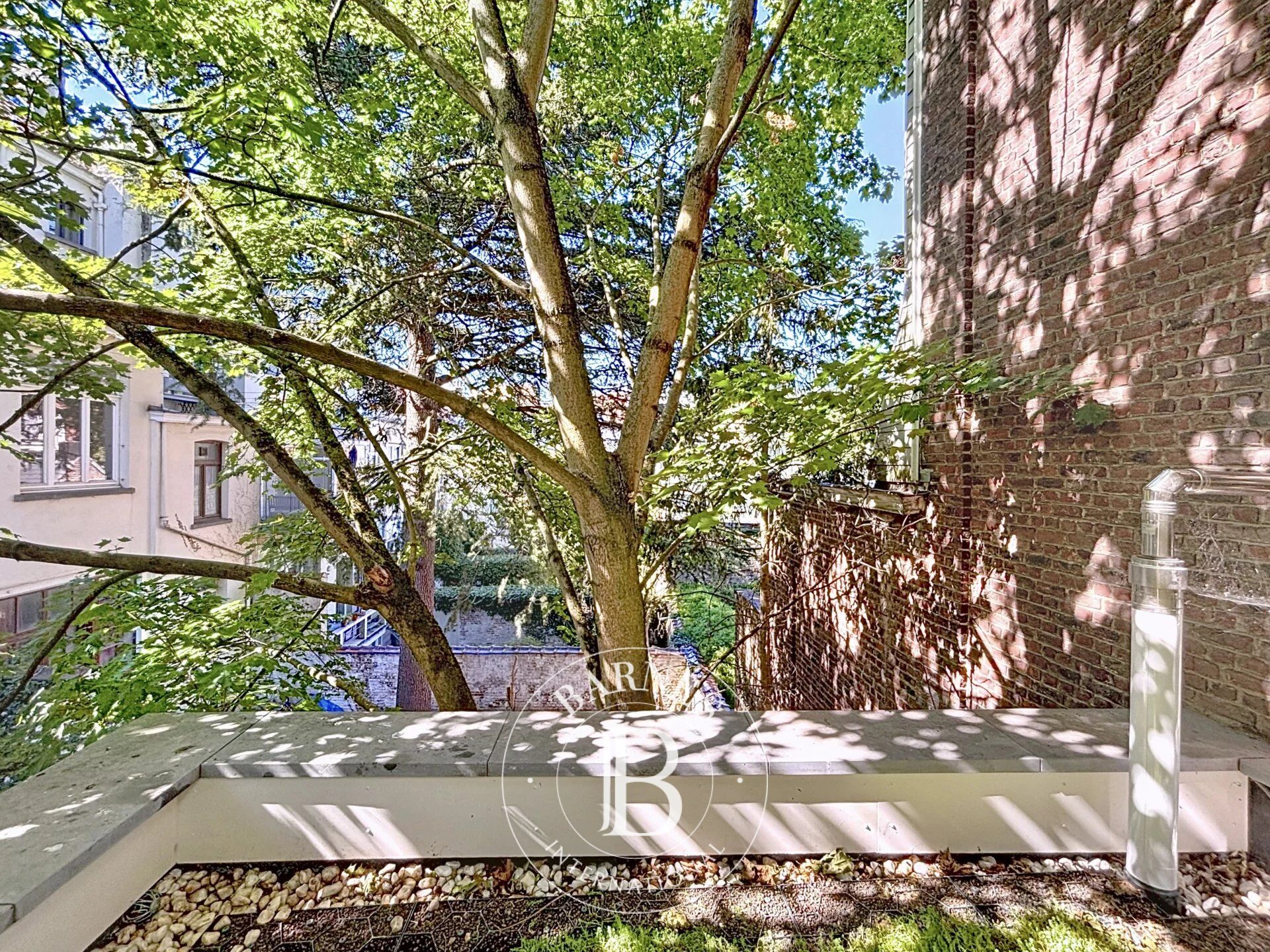 Ev Bruxelles - picture 17