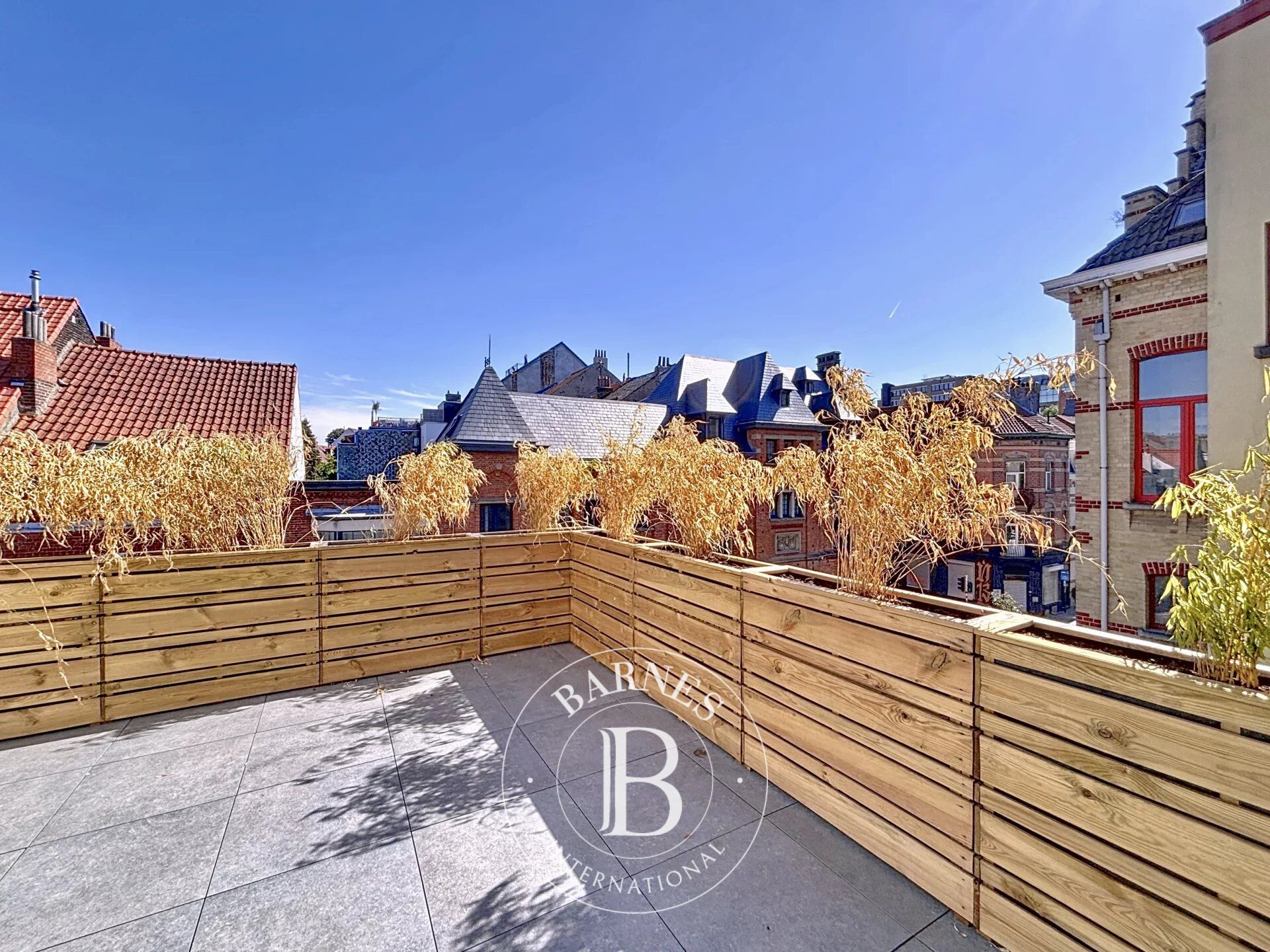 Ev Bruxelles - picture 20