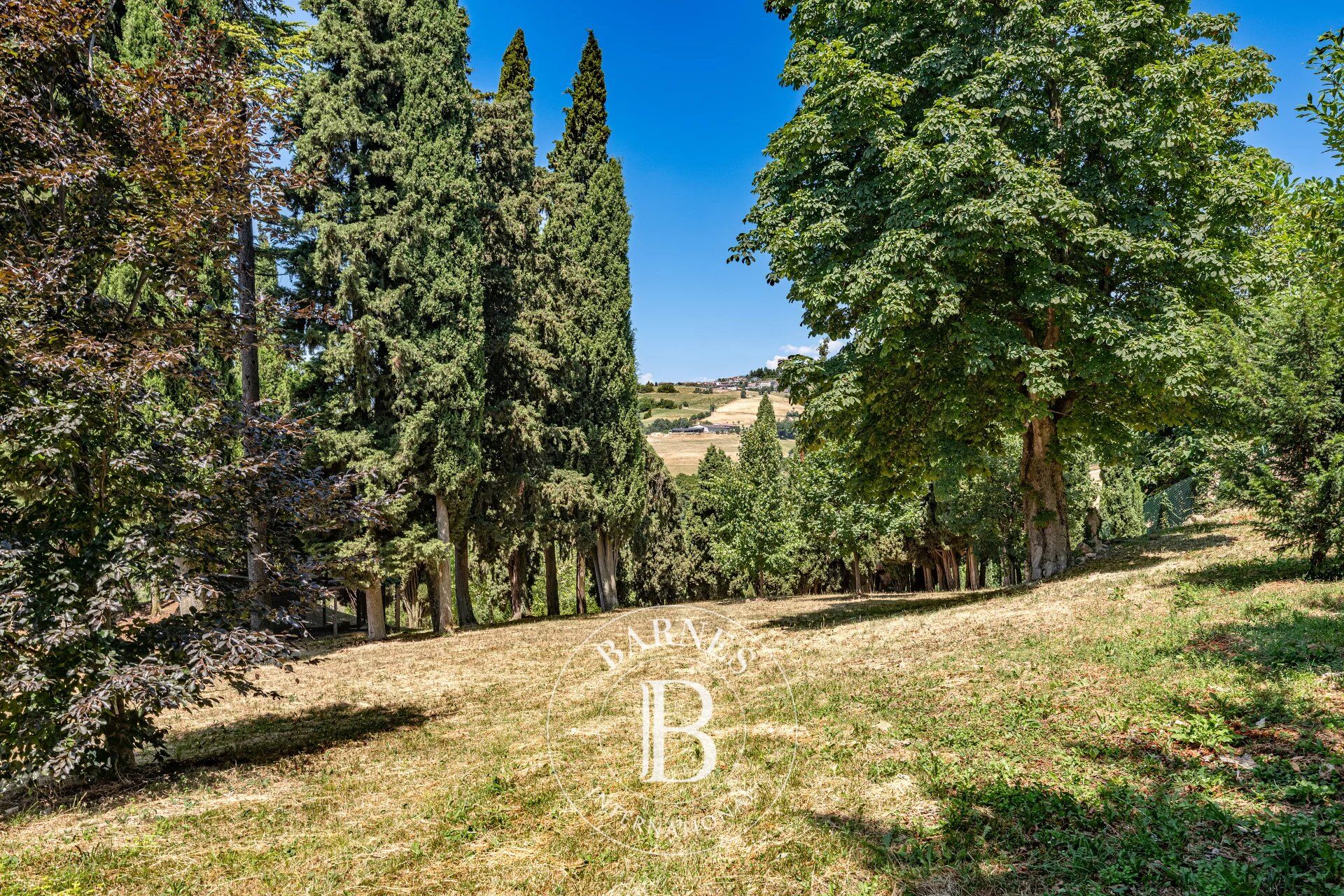 Villa Grezzana - picture 23