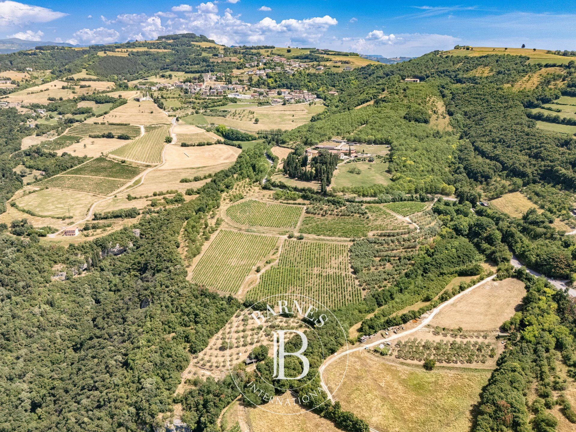 Villa Grezzana - picture 6