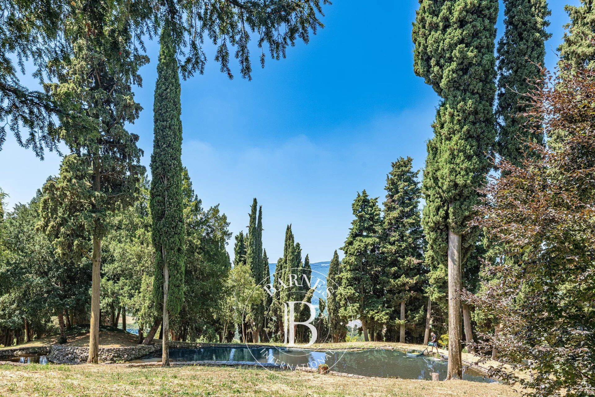 Villa Grezzana - picture 25